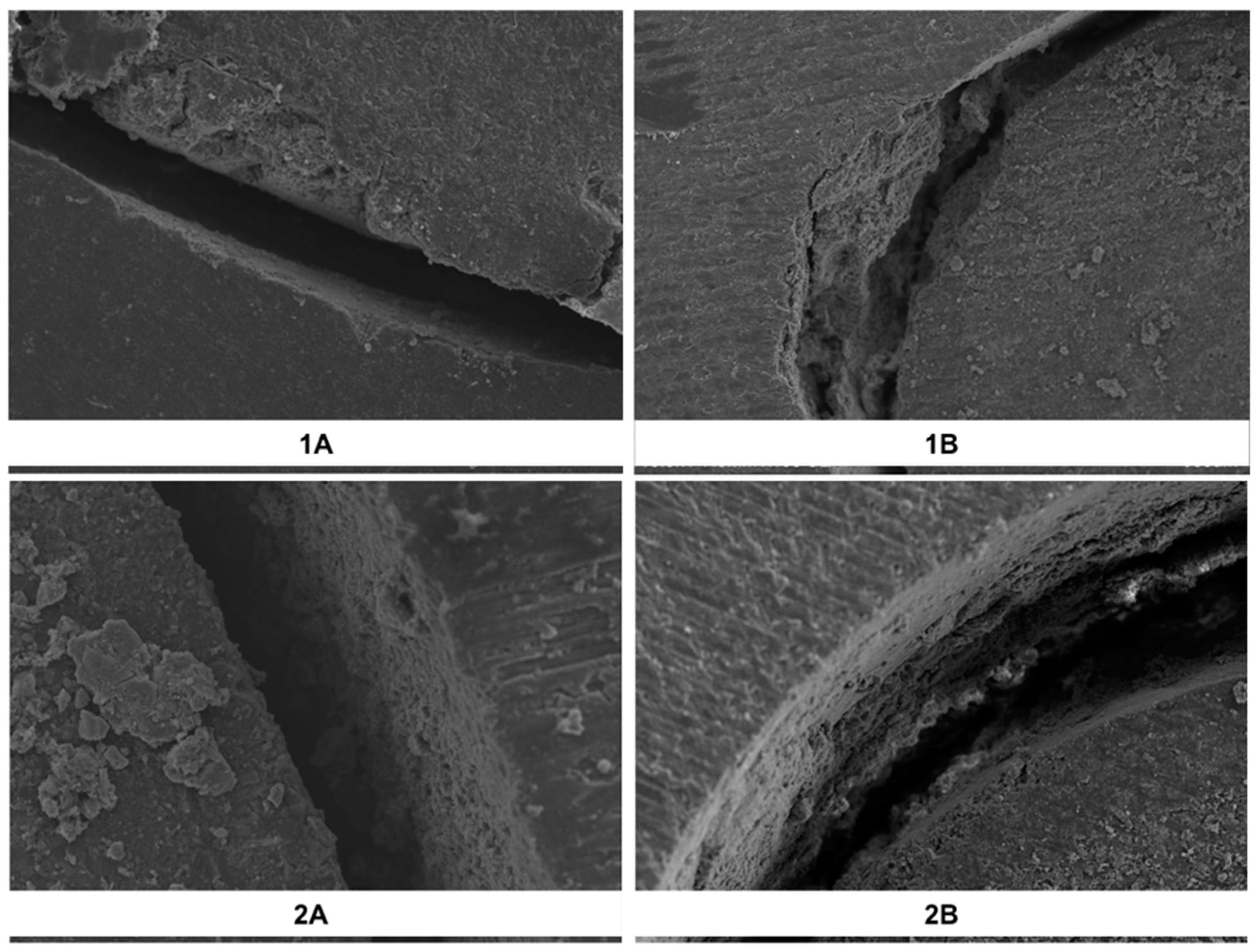 Dentistry 07 00080 g001
