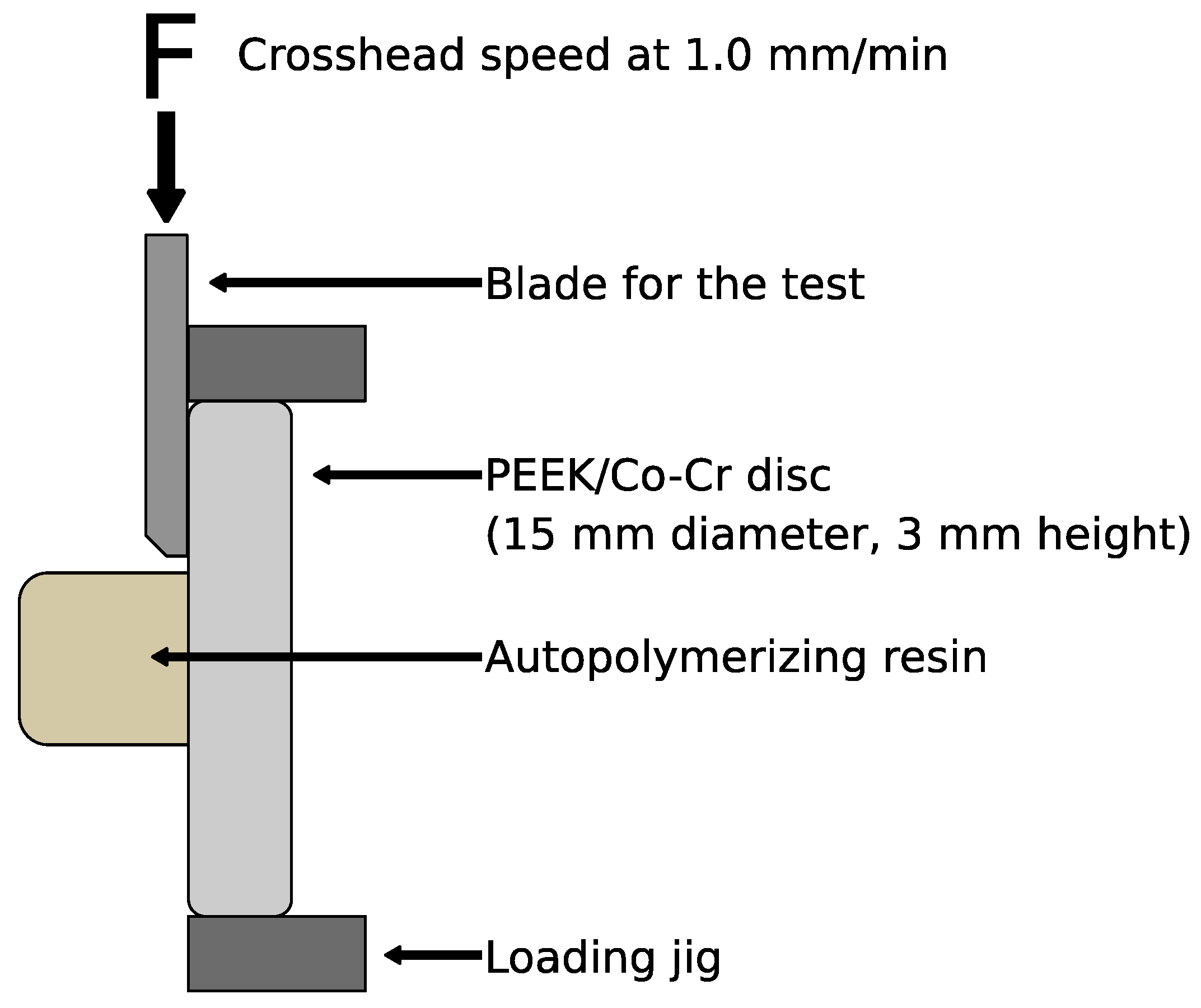 Dentistry 07 00082 g001