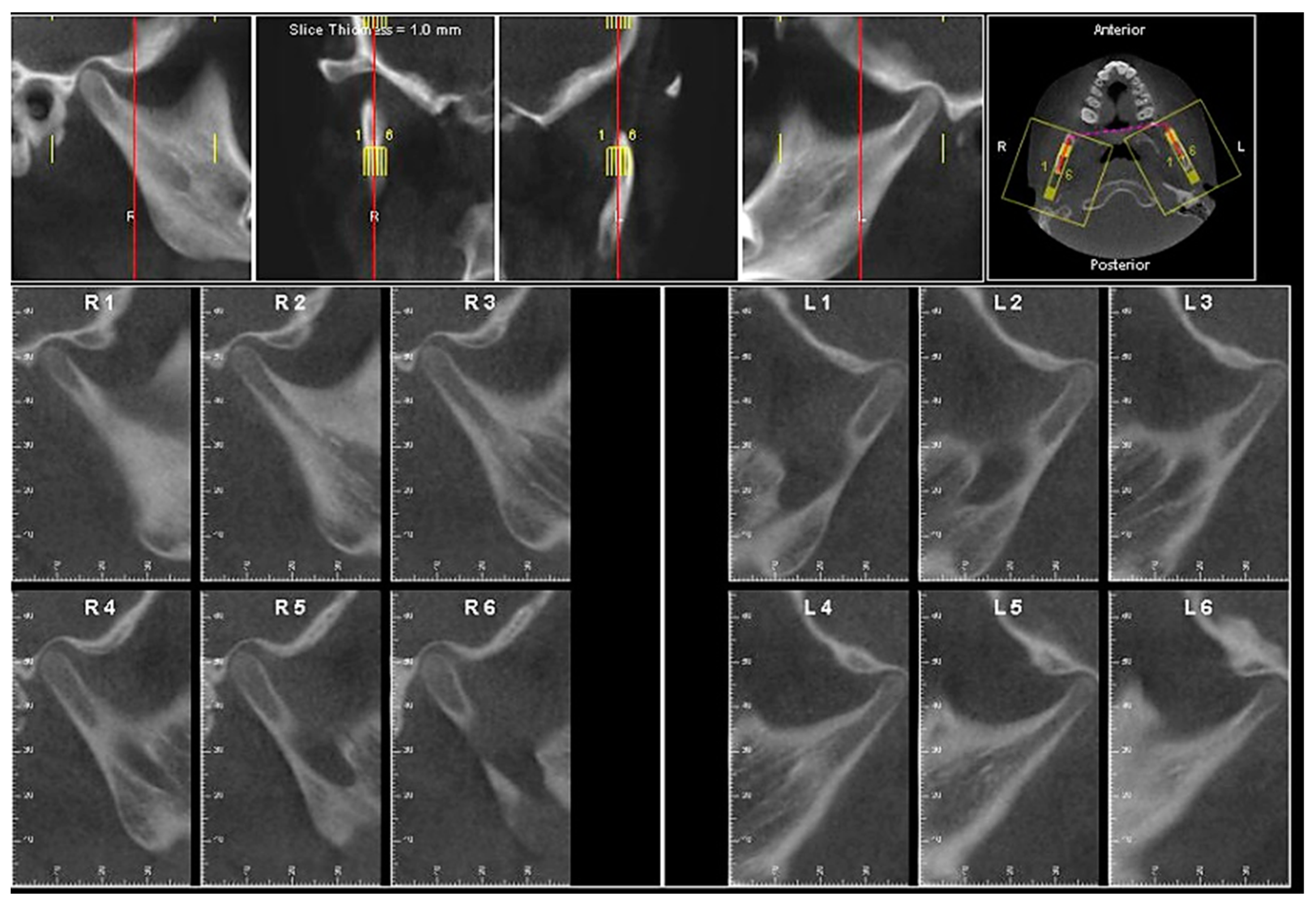 Dentistry 07 00089 g009