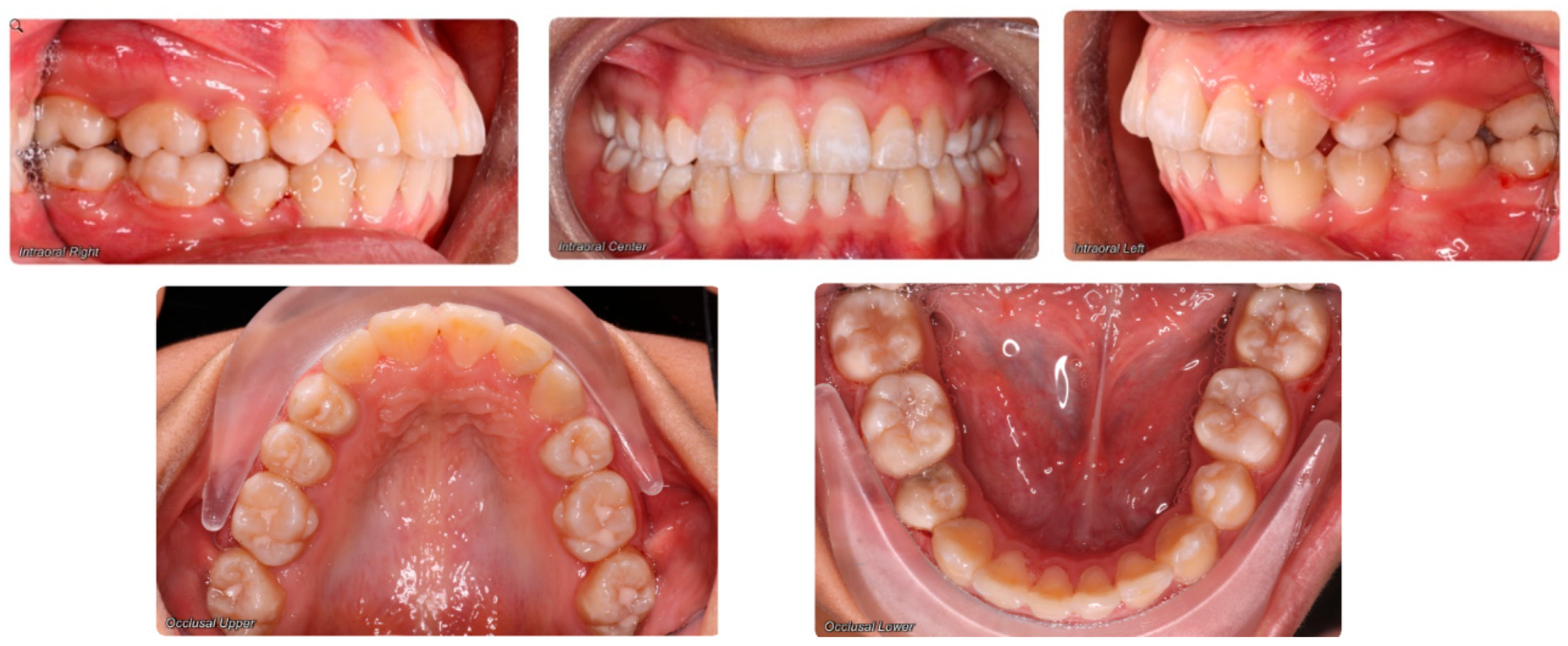 Dentistry 07 00089 g029