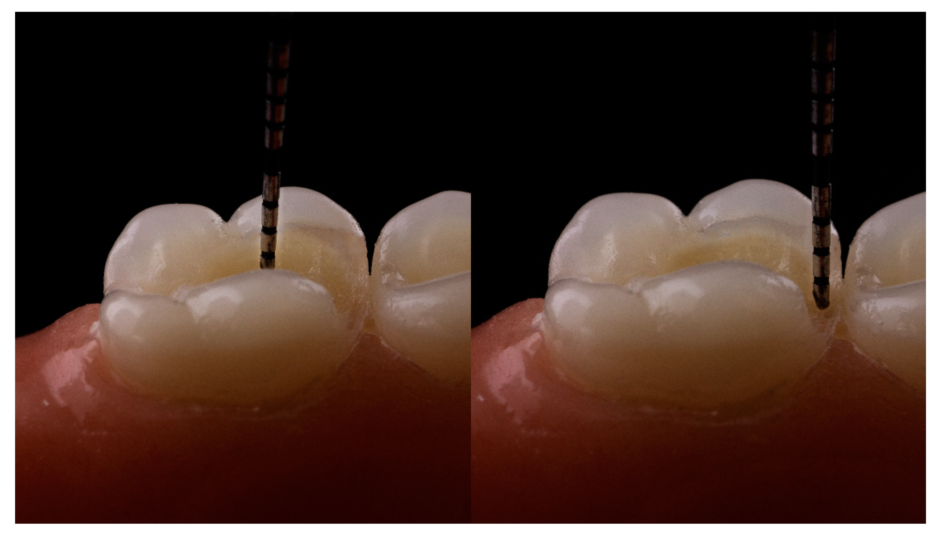 Dentistry 07 00094 g001