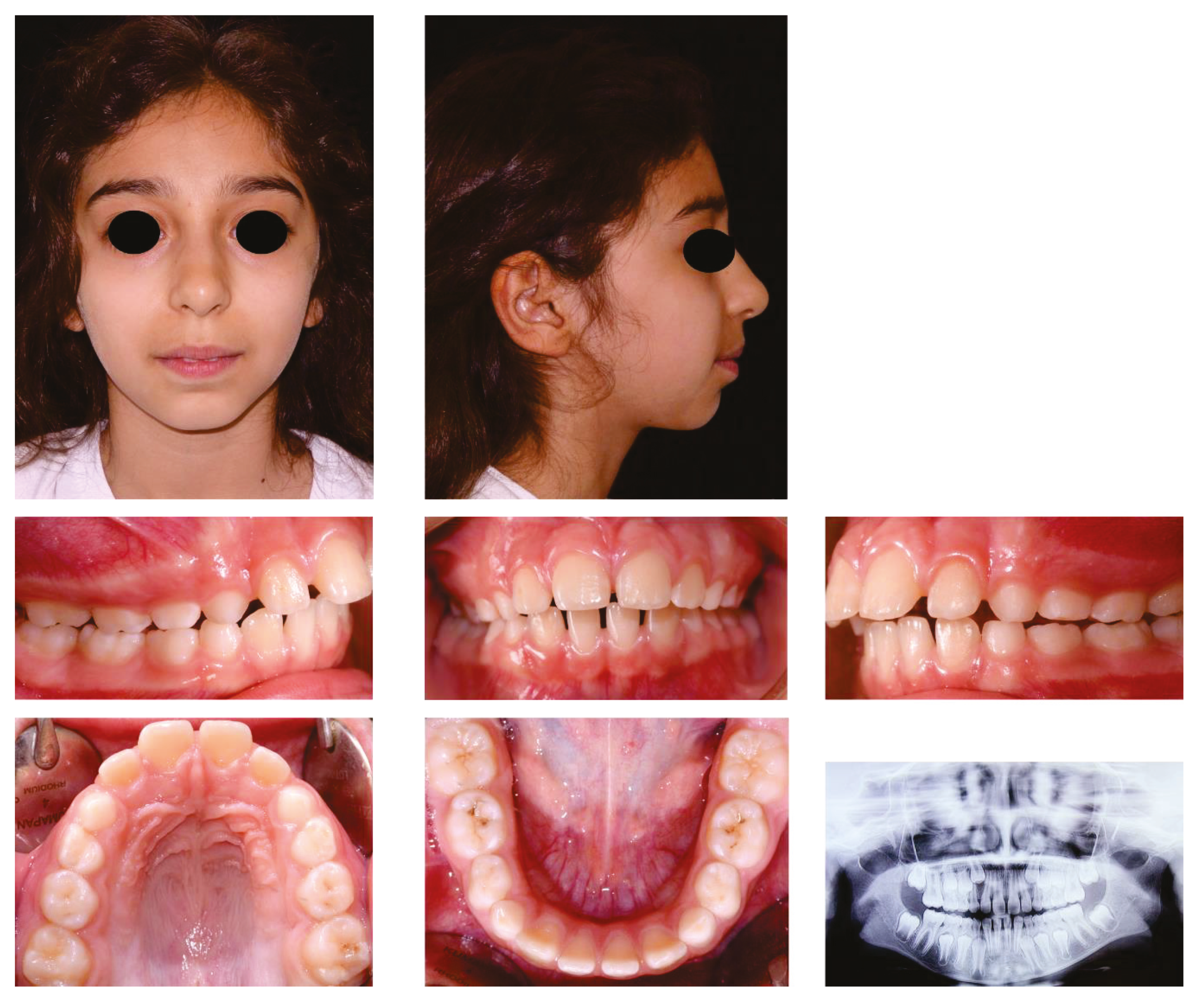 Dentistry 07 00098 g001