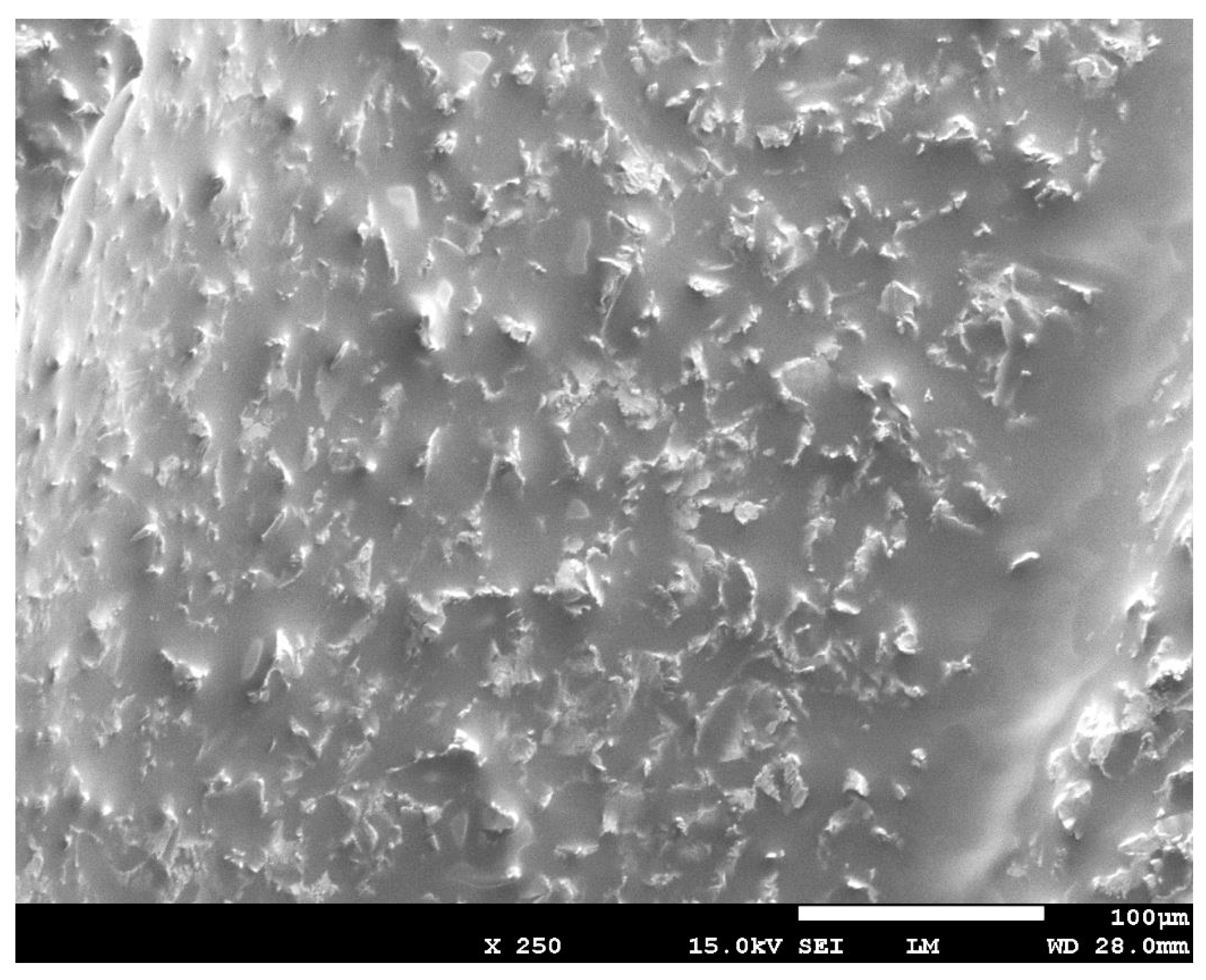 Dentistry 07 00099 g006