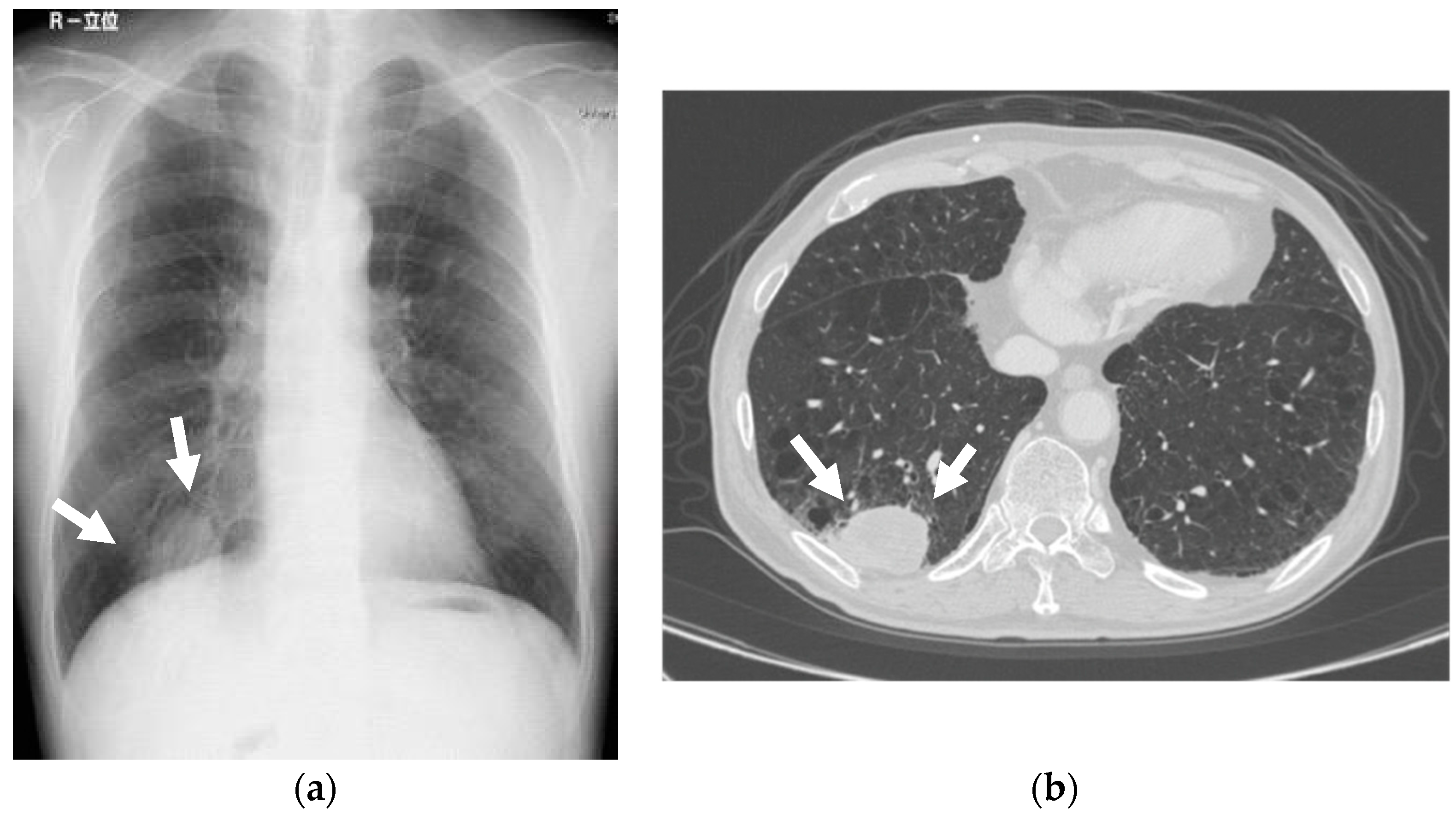 Dentistry 07 00102 g002 Dentistry 07 00102 g002