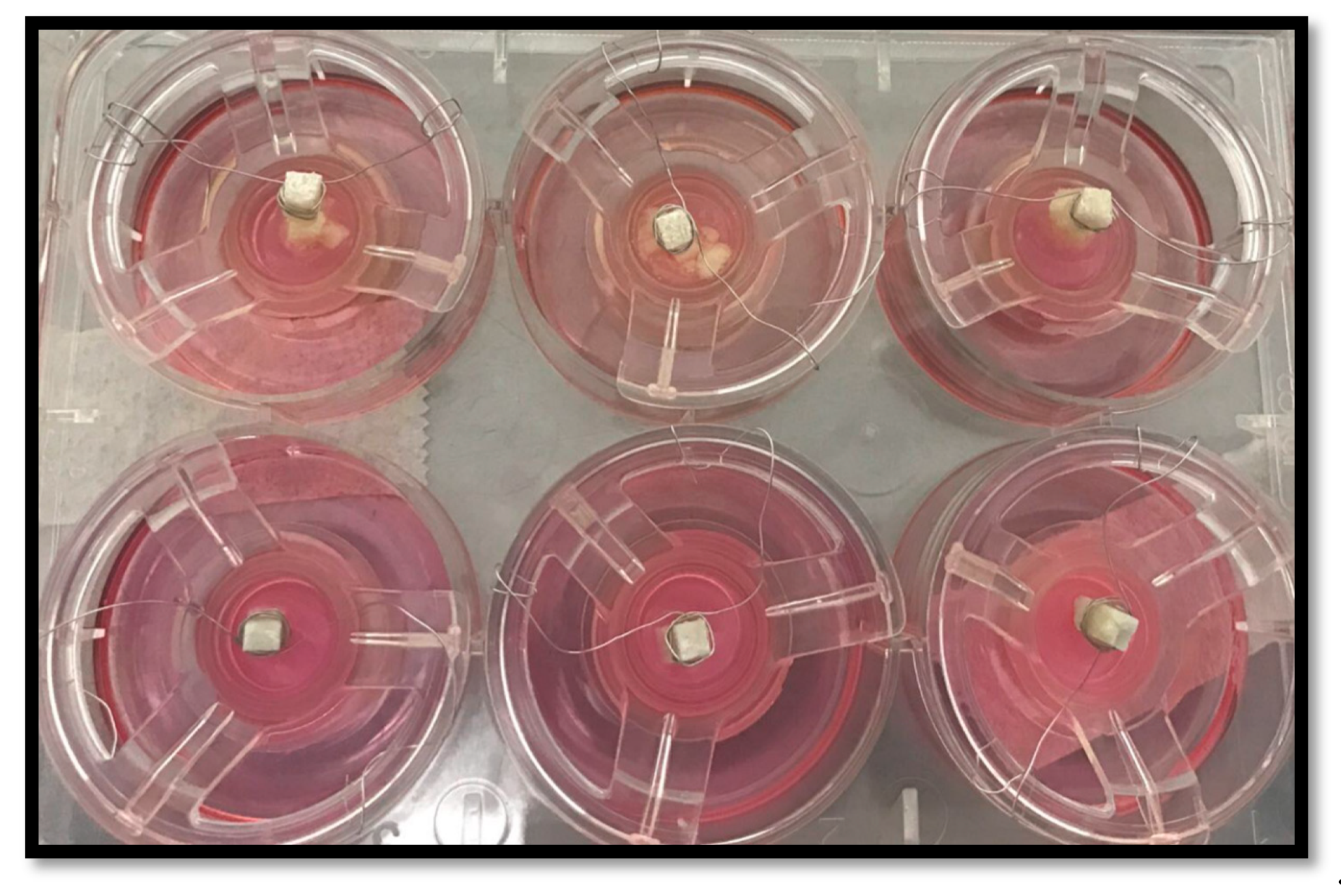 Dentistry 07 00110 g004