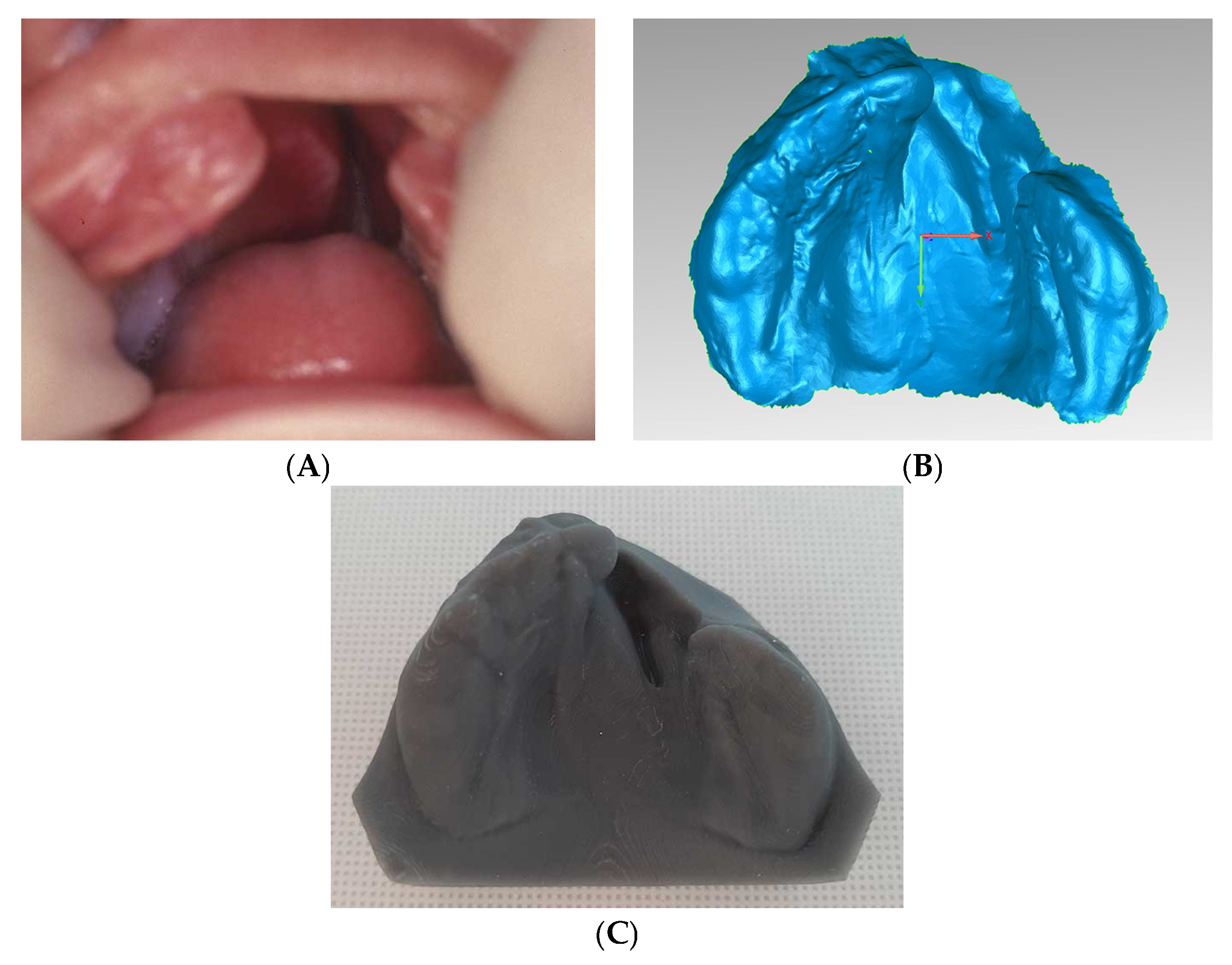 Dentistry 07 00111 g001