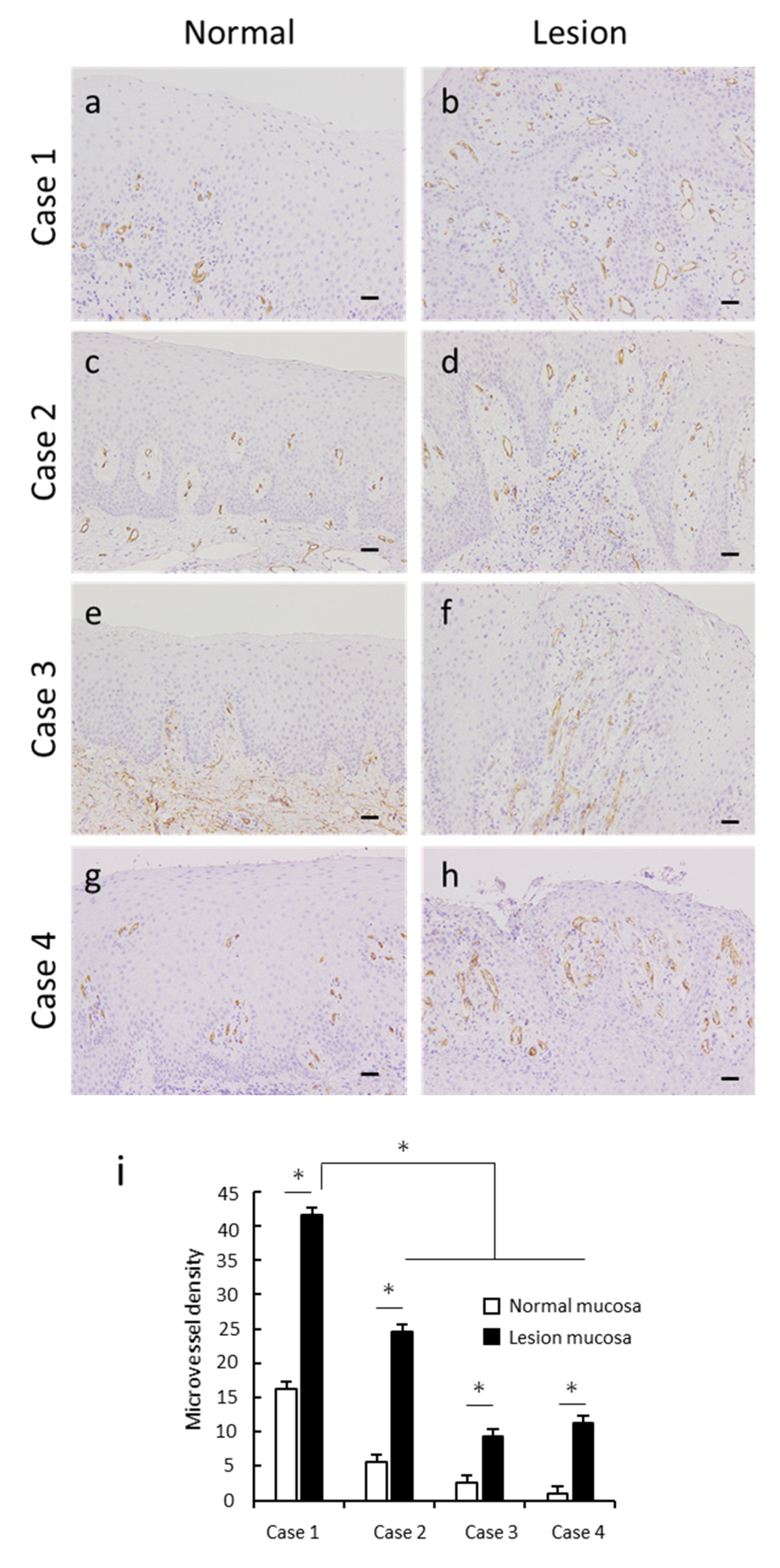 Dentistry 08 00018 g003