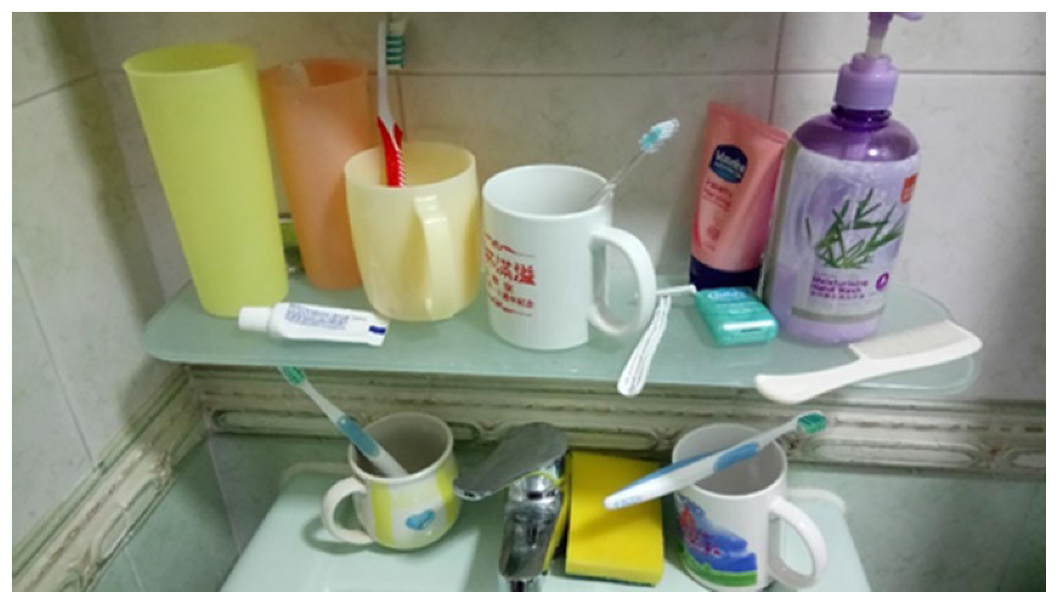 Dentistry 08 00029 g001