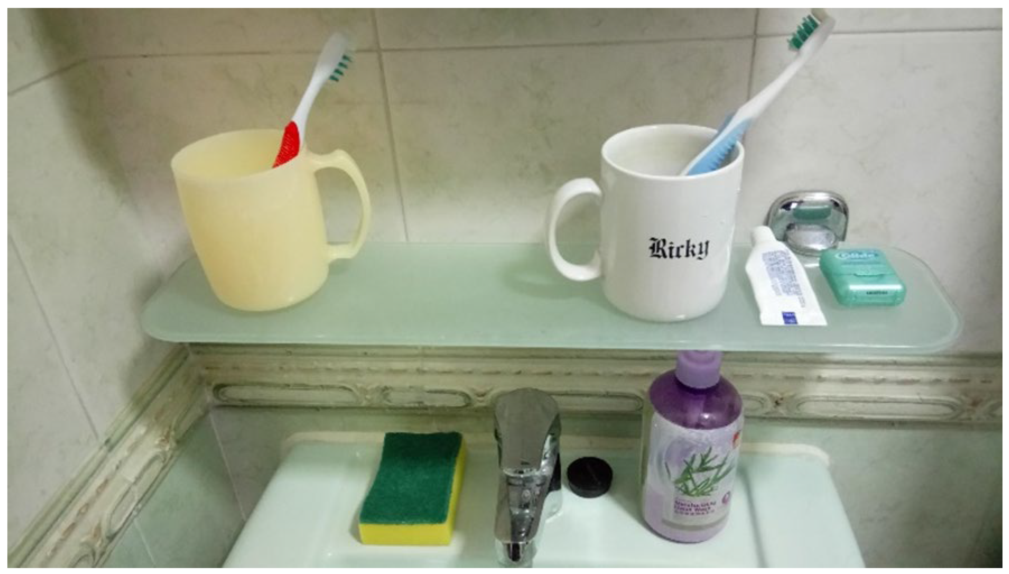 Dentistry 08 00029 g002