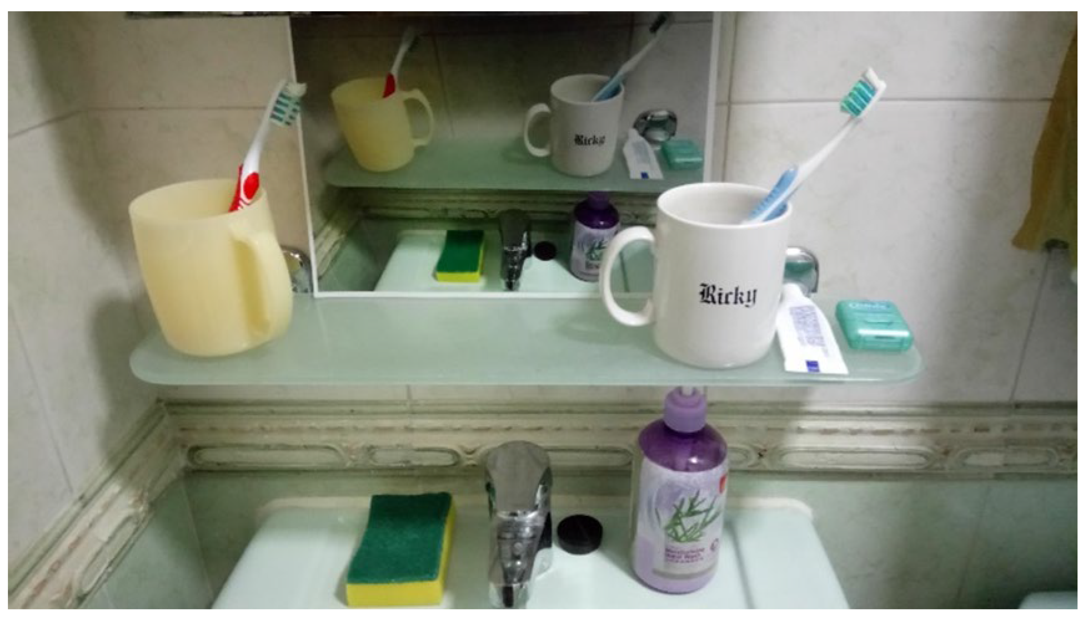 Dentistry 08 00029 g003