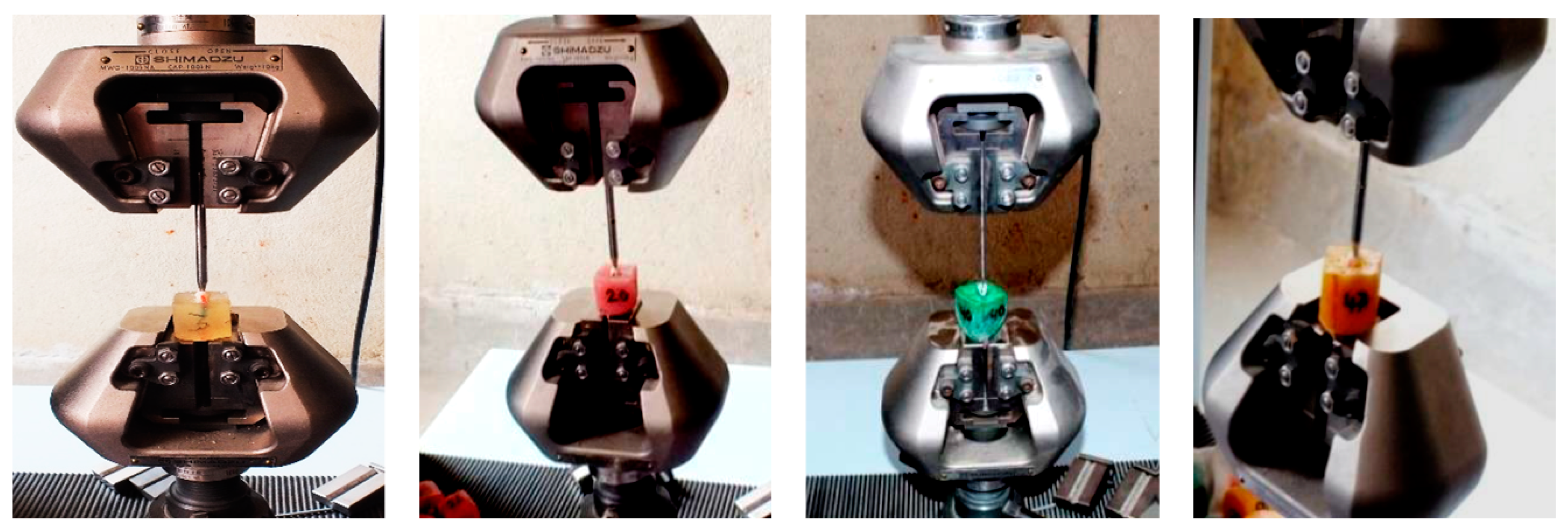 Dentistry 08 00038 g001