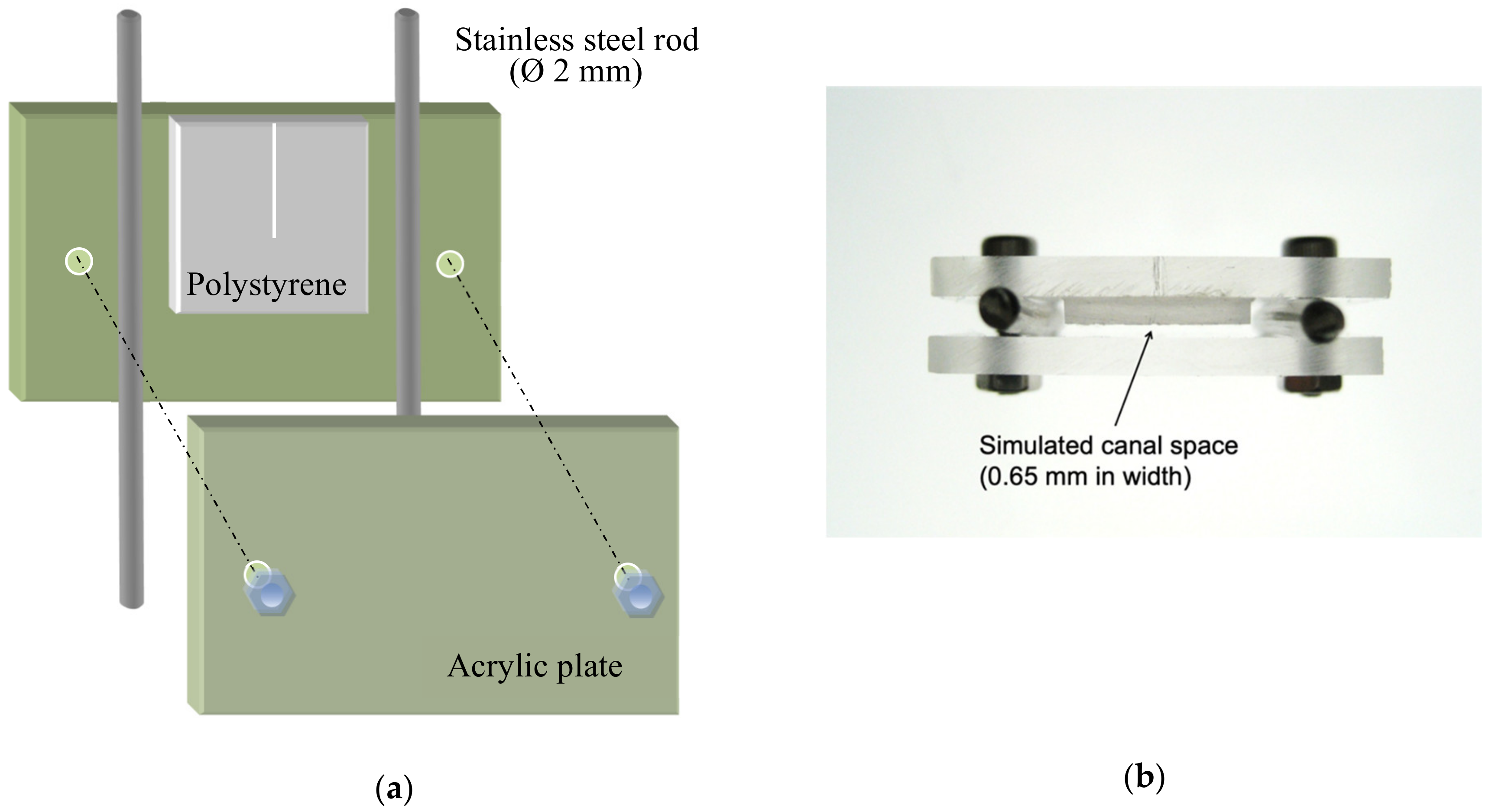 Dentistry 08 00042 g001