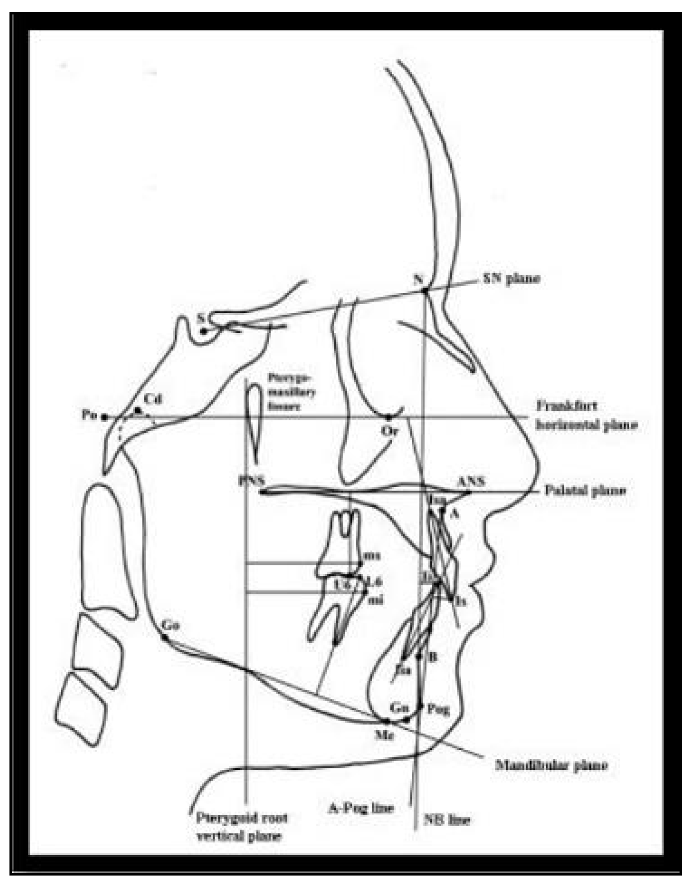 Dentistry 08 00044 g001
