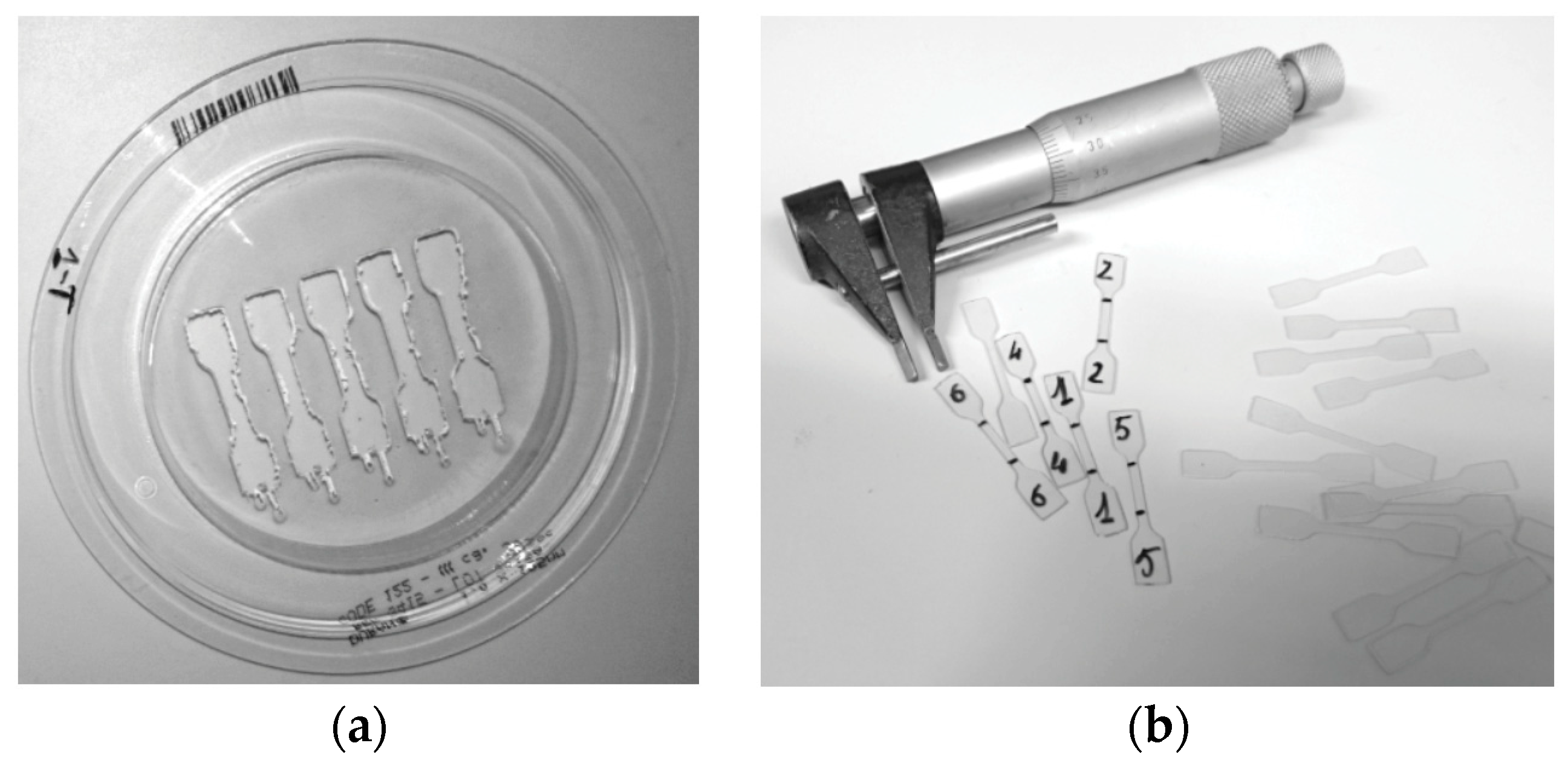 Dentistry 08 00047 g001