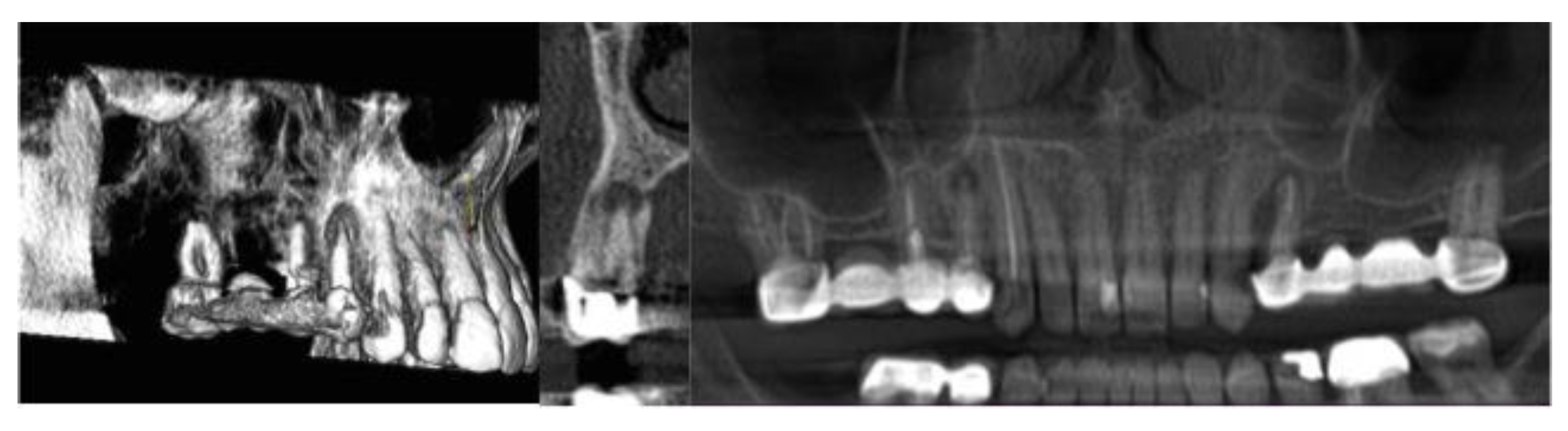 Dentistry 08 00051 g002