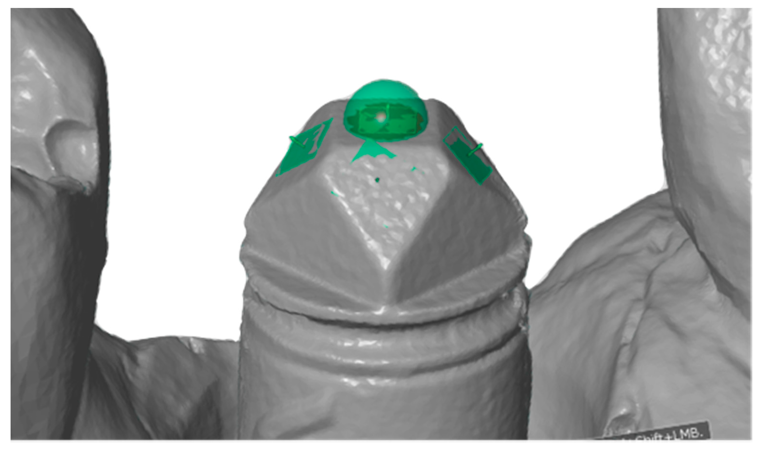 Dentistry 08 00052 g002