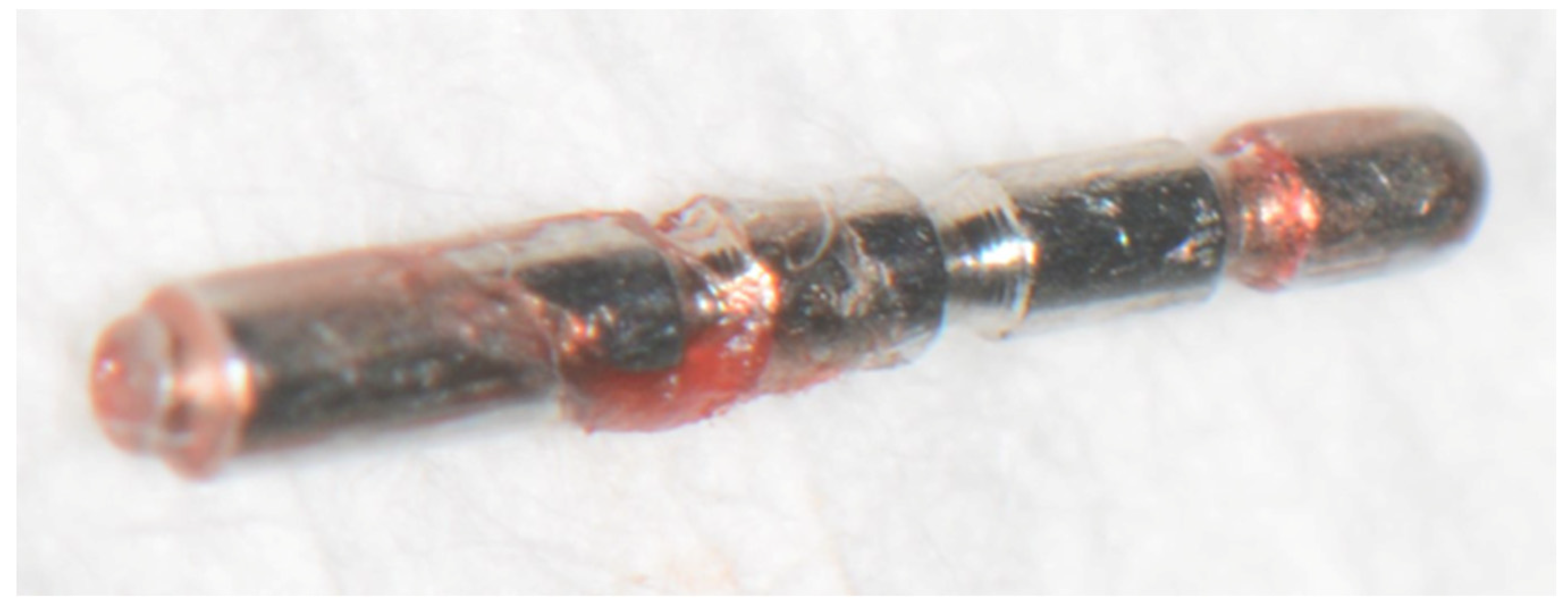 Dentistry 08 00055 g006