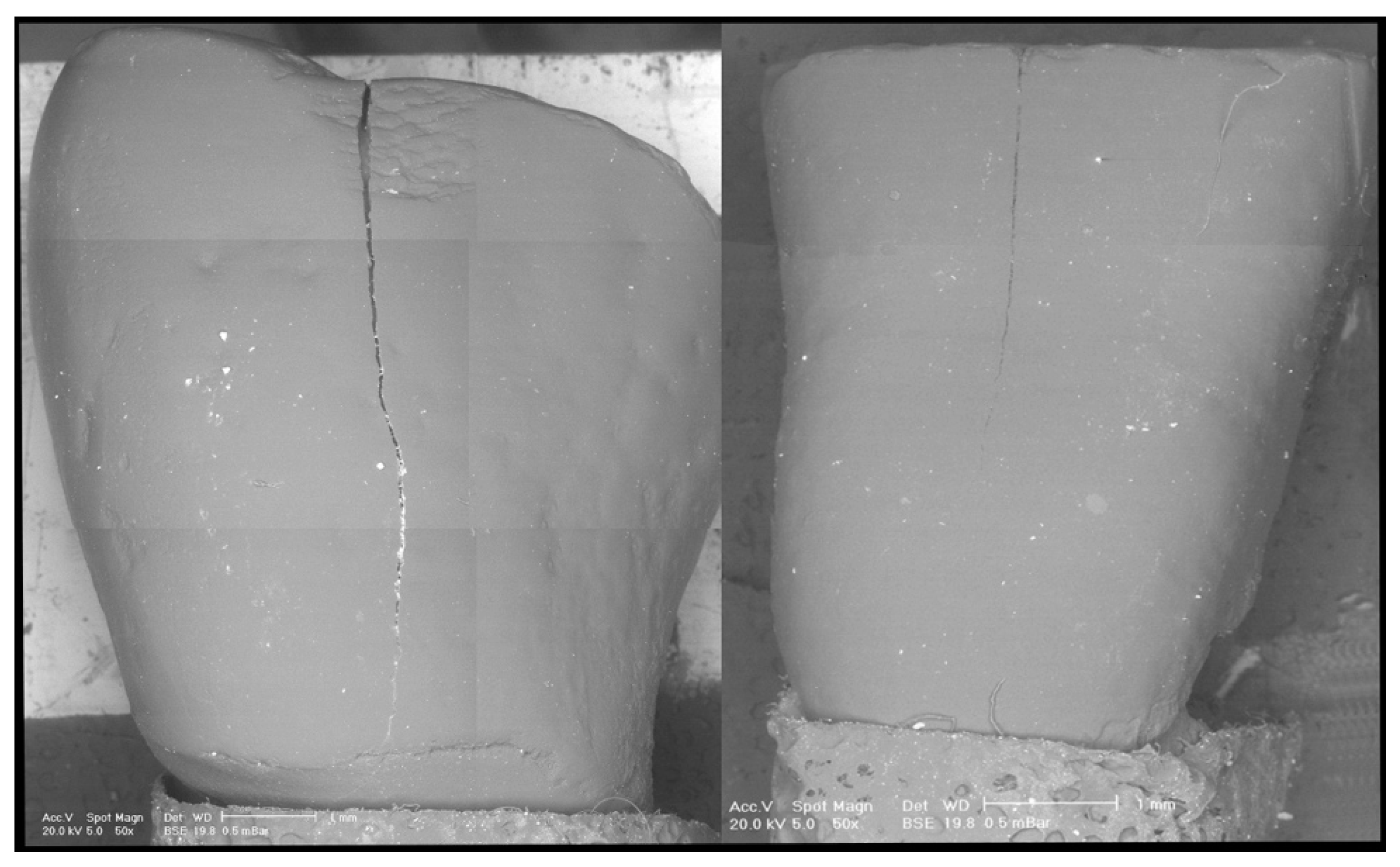 Dentistry 08 00058 g001