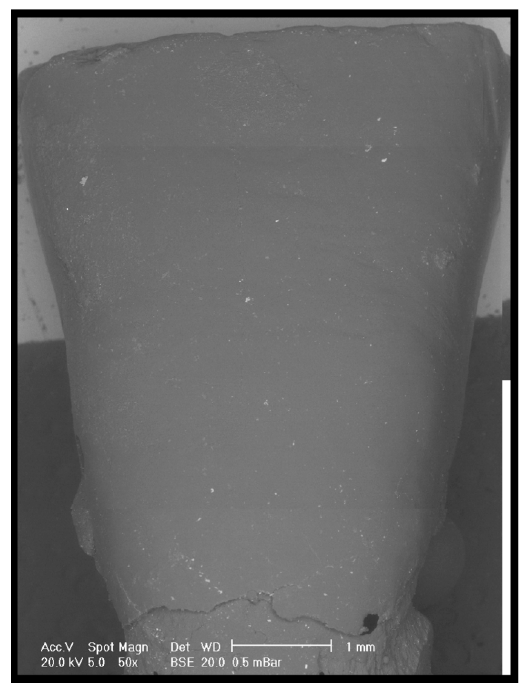 Dentistry 08 00058 g003