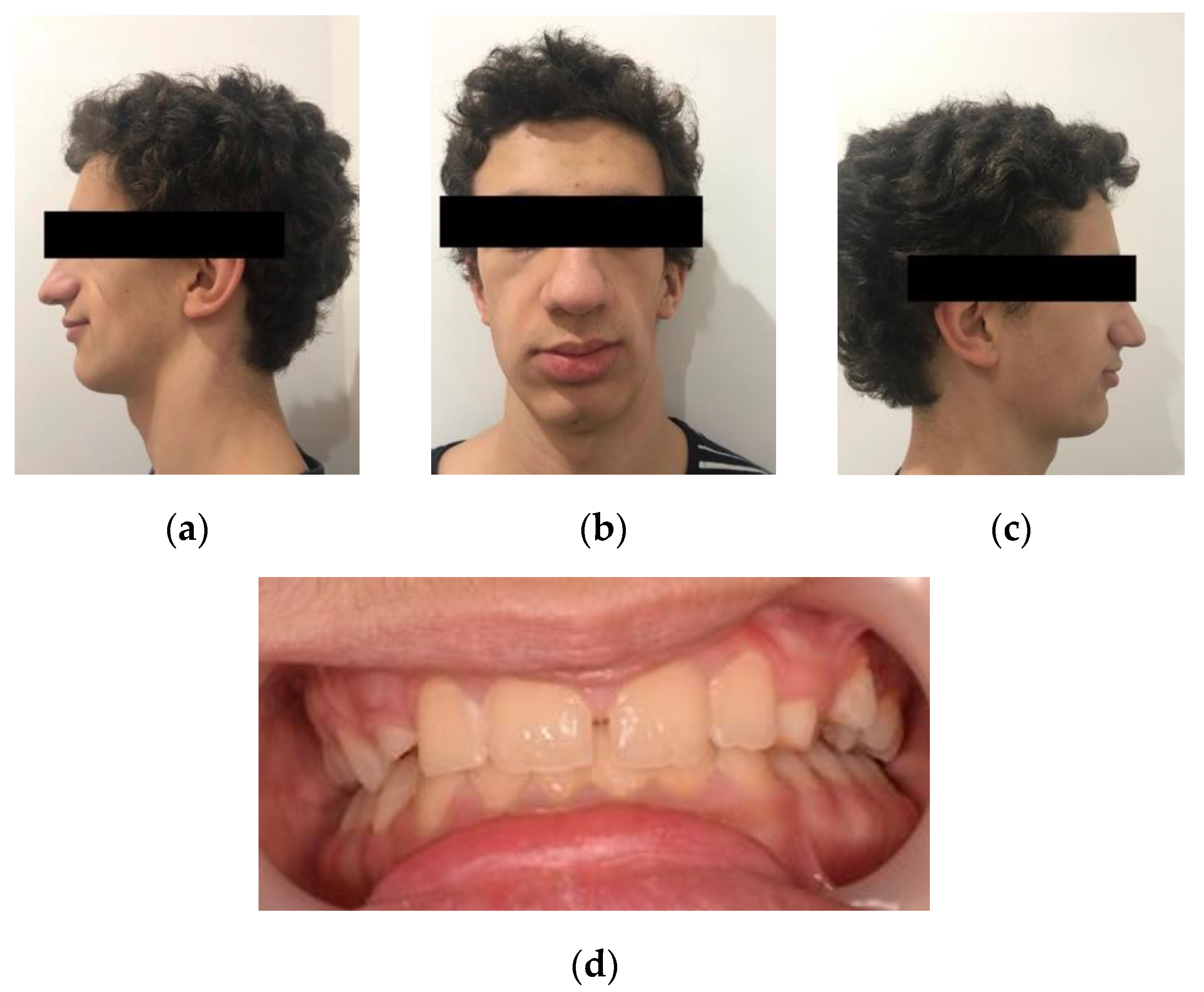 Dentistry 08 00059 g001