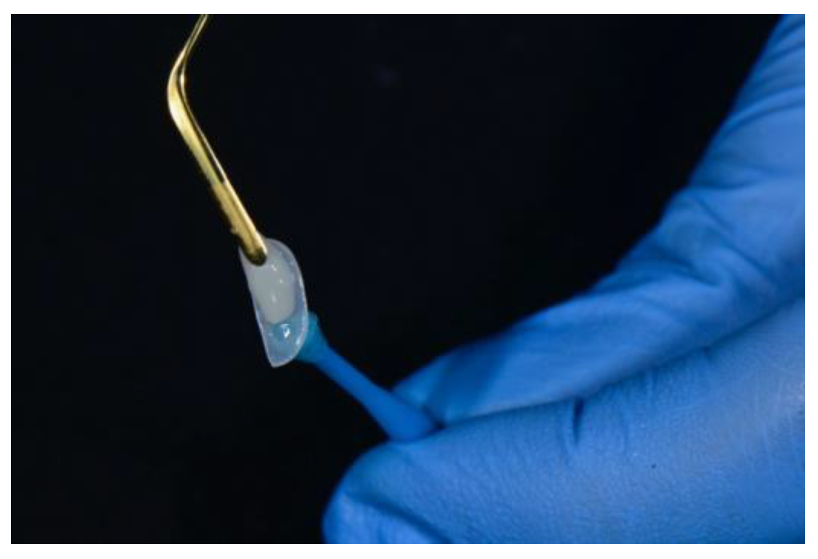 Dentistry 08 00060 g007