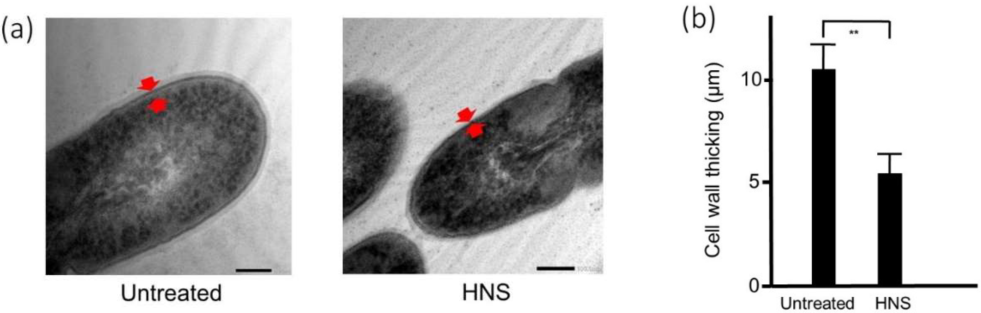 Dentistry 08 00071 g005