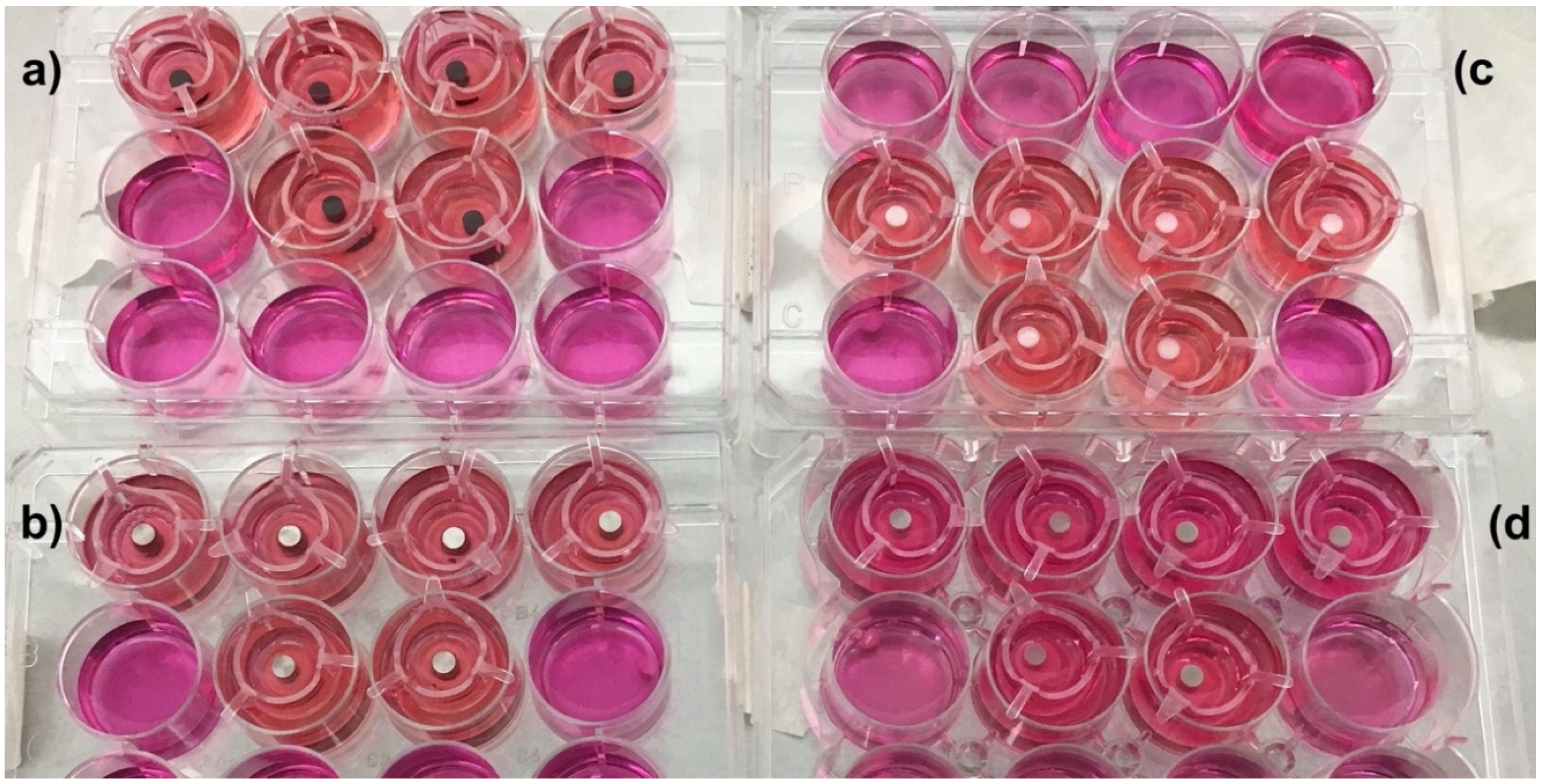 Dentistry 08 00072 g001