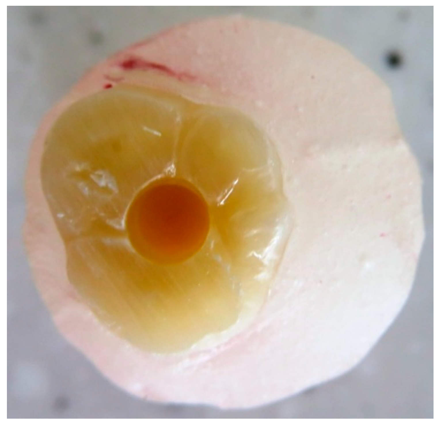 Dentistry 08 00076 g002