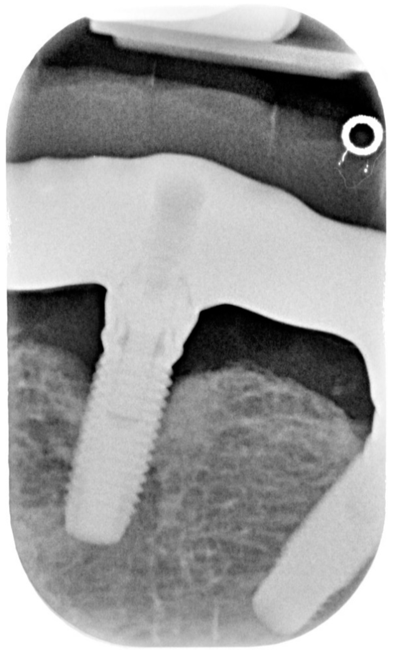 Dentistry 08 00078 g002