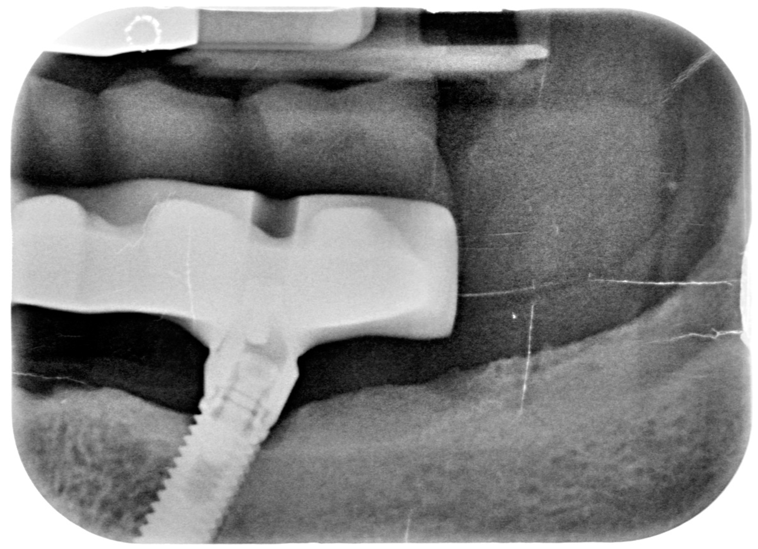 Dentistry 08 00078 g010