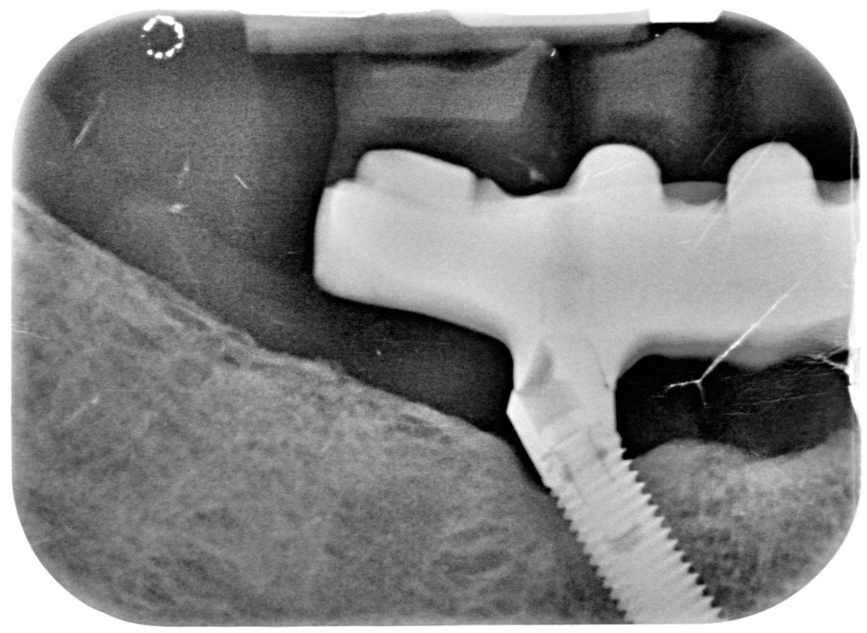 Dentistry 08 00078 g011