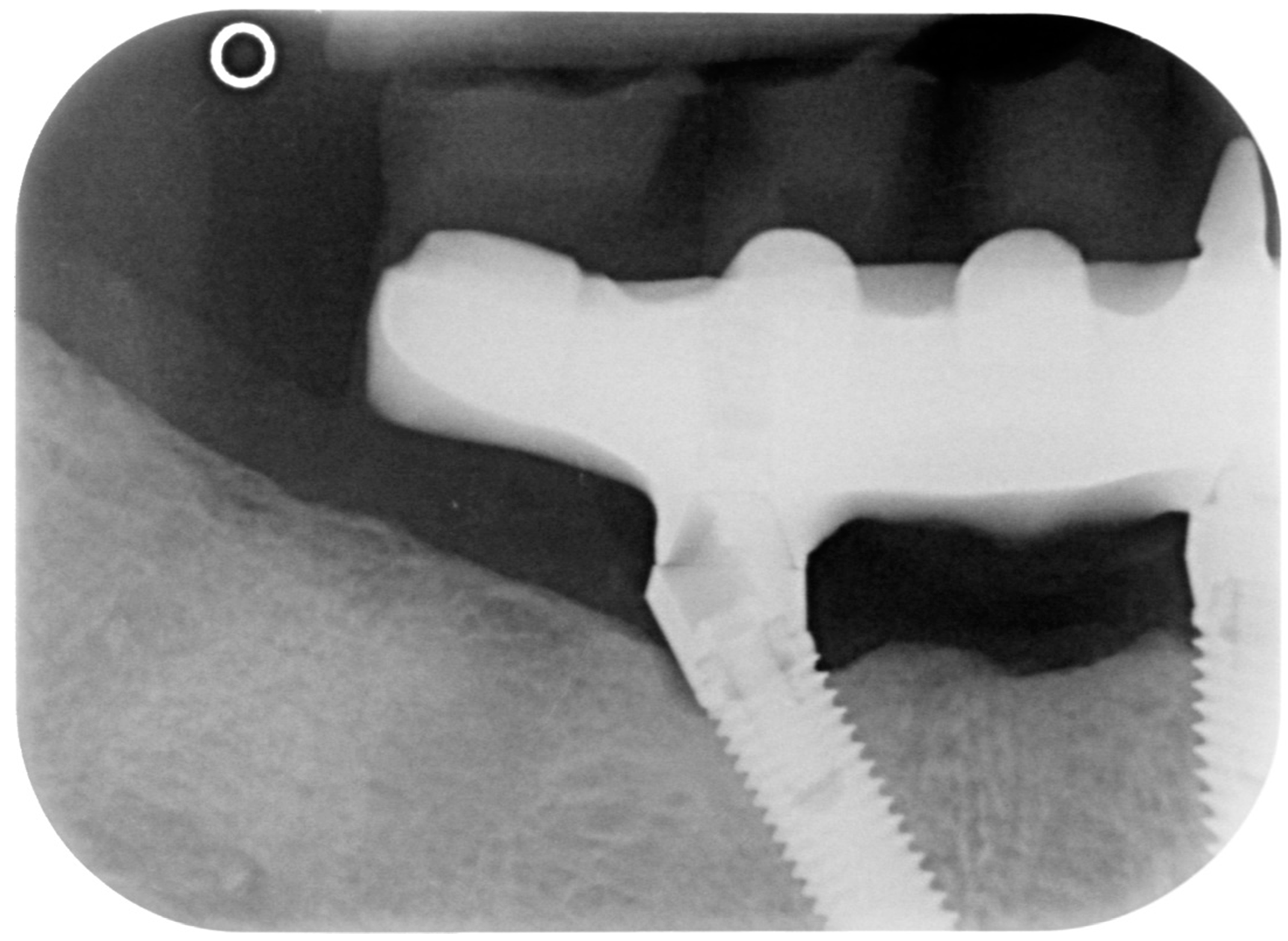 Dentistry 08 00078 g014