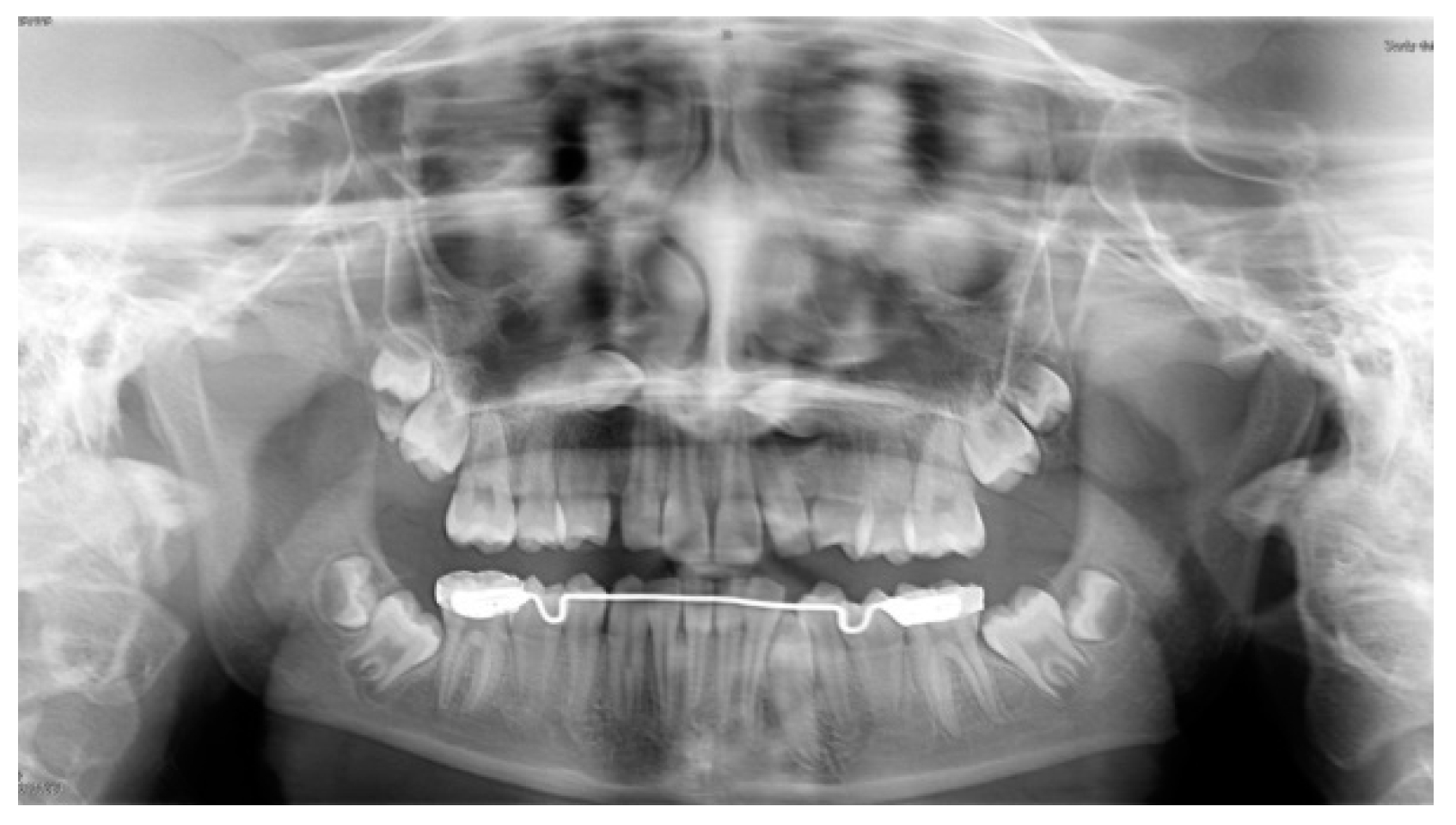 Dentistry 08 00129 g001