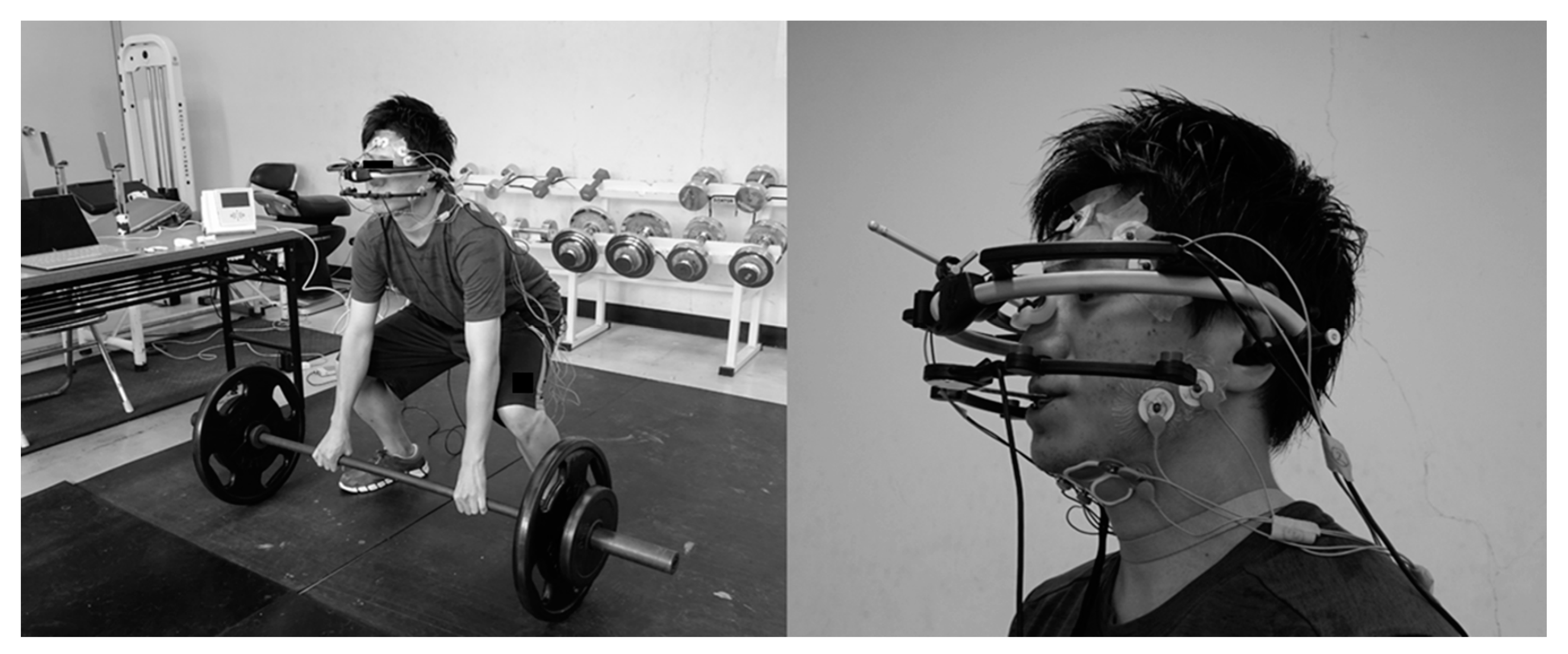 Dentistry 08 00132 g001