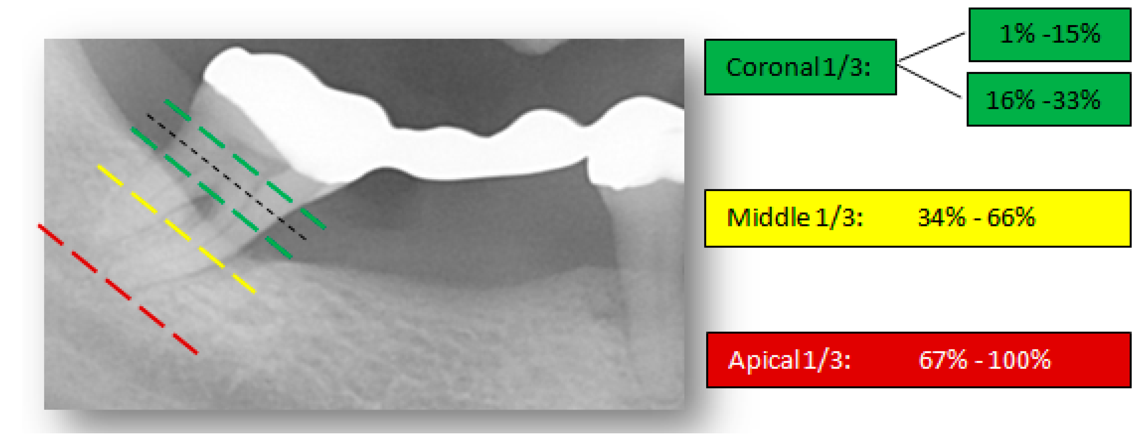 Dentistry 09 00019 g002