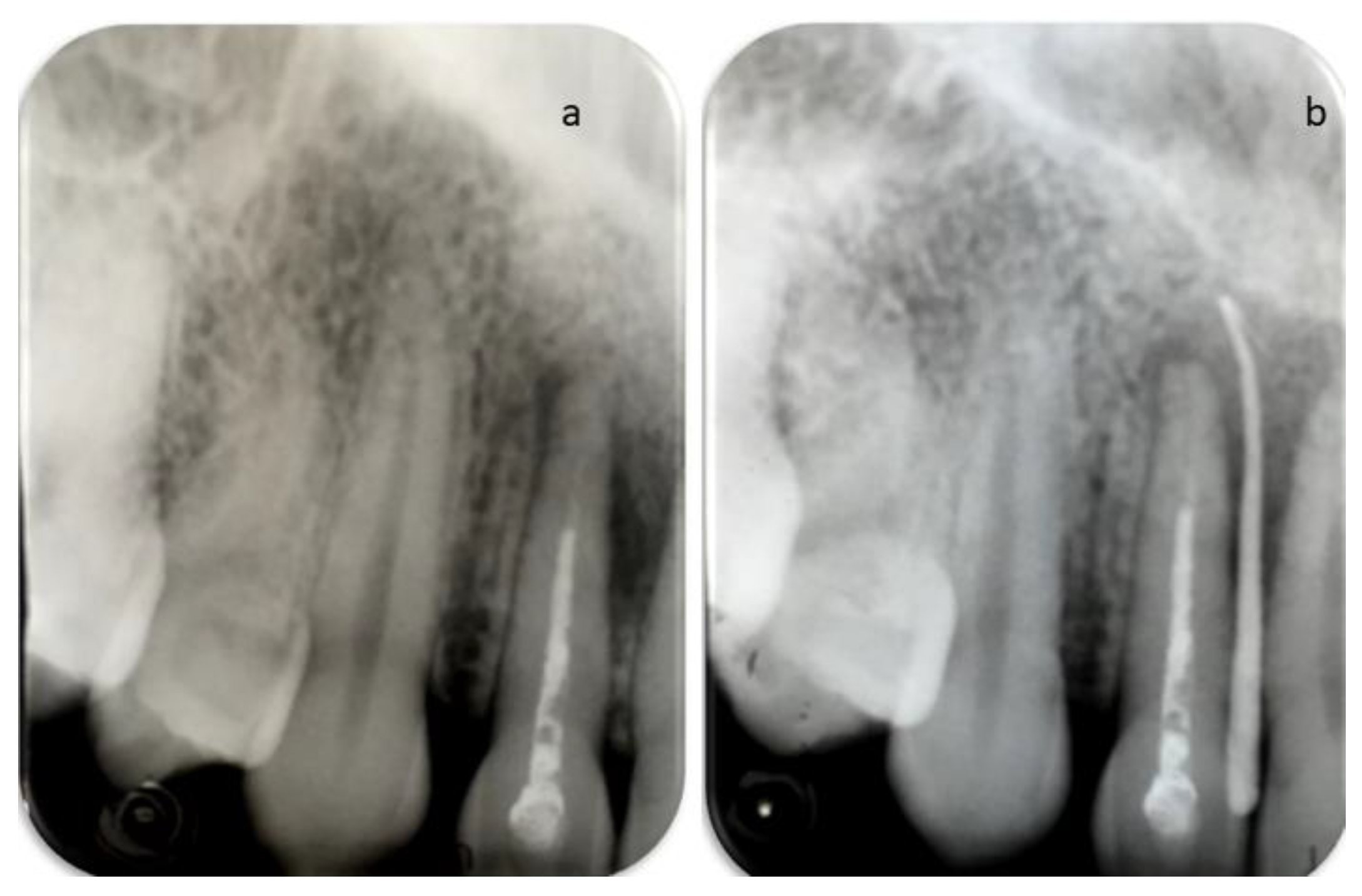 Dentistry 09 00027 g002