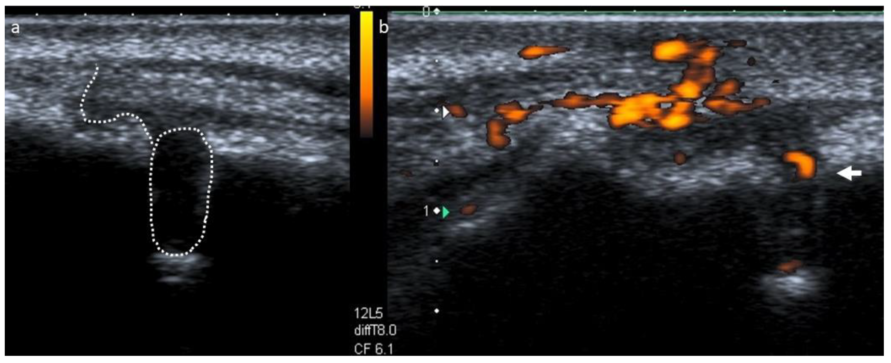 Dentistry 09 00027 g003