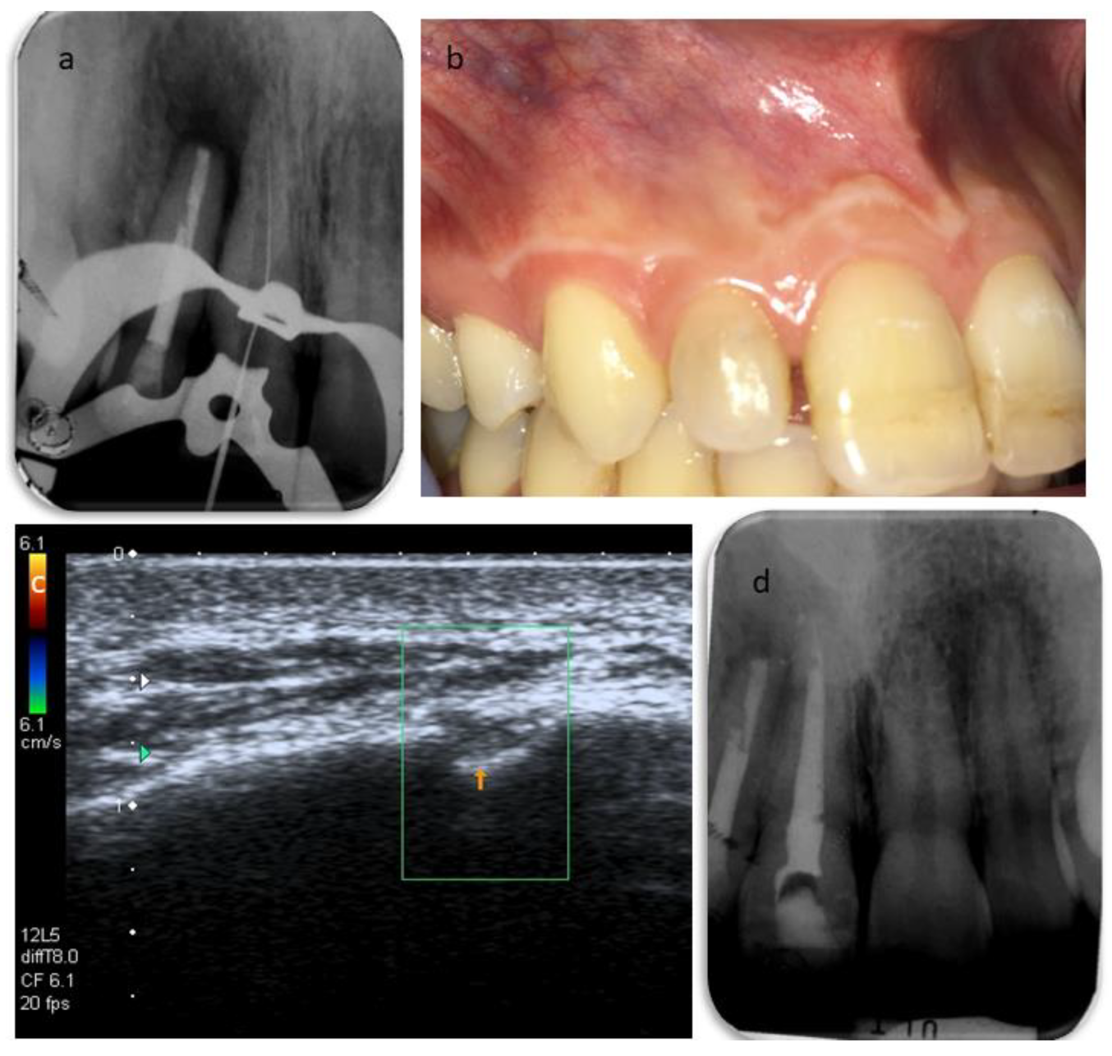 Dentistry 09 00027 g007