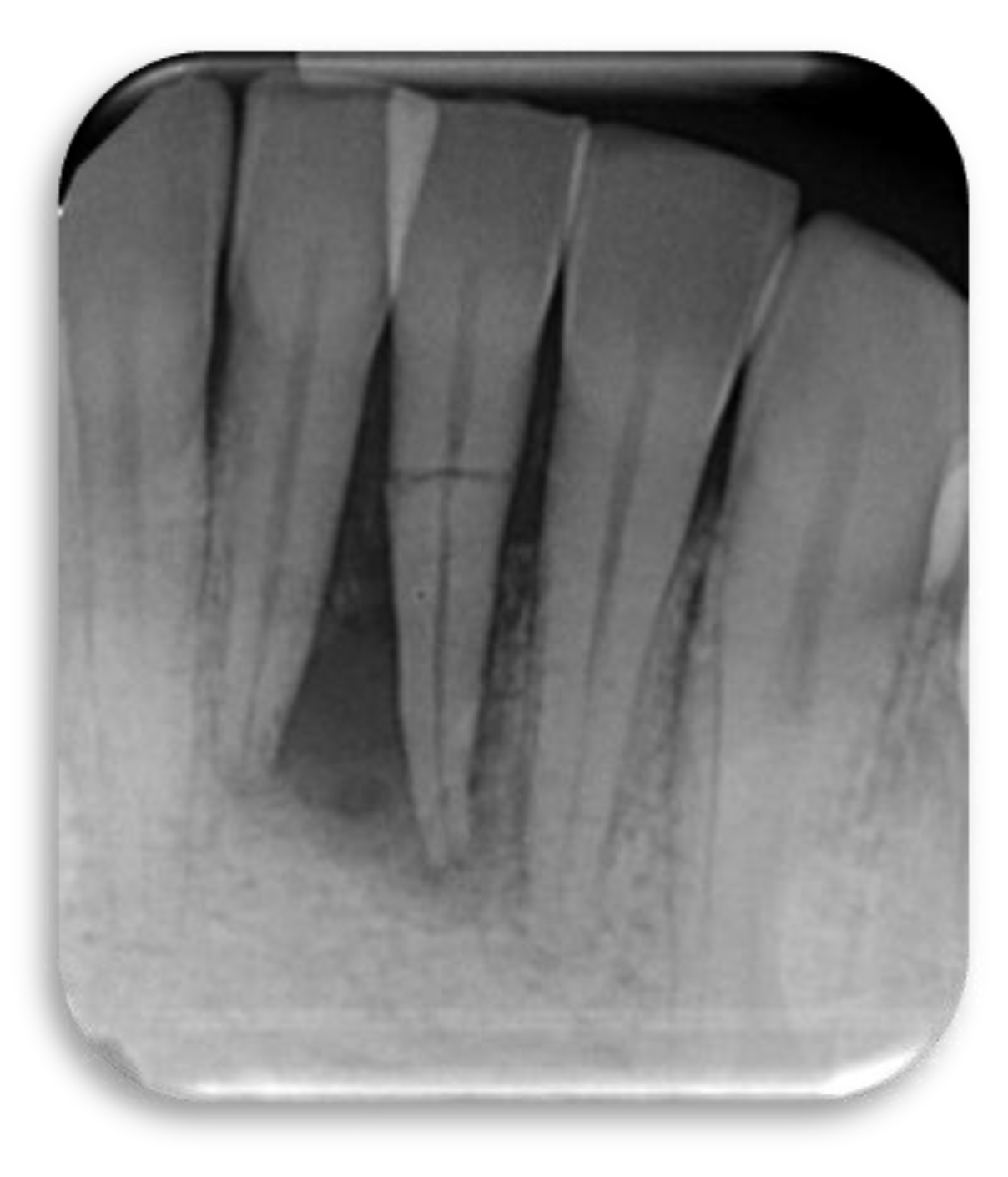 Dentistry 09 00033 g001