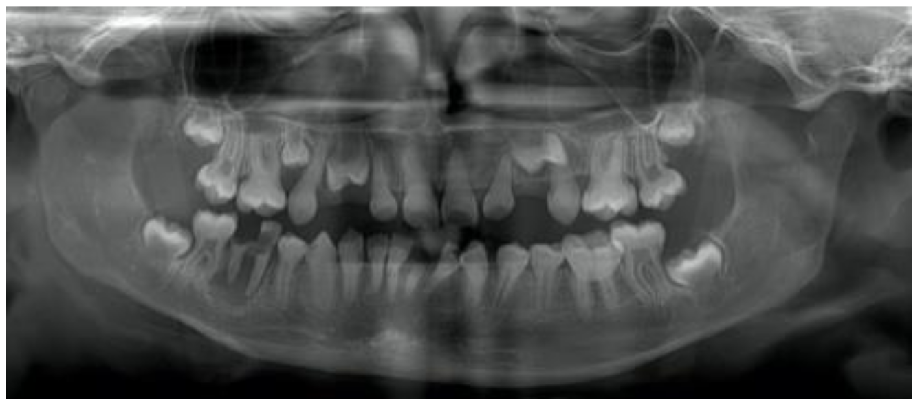 Dentistry 09 00049 g002