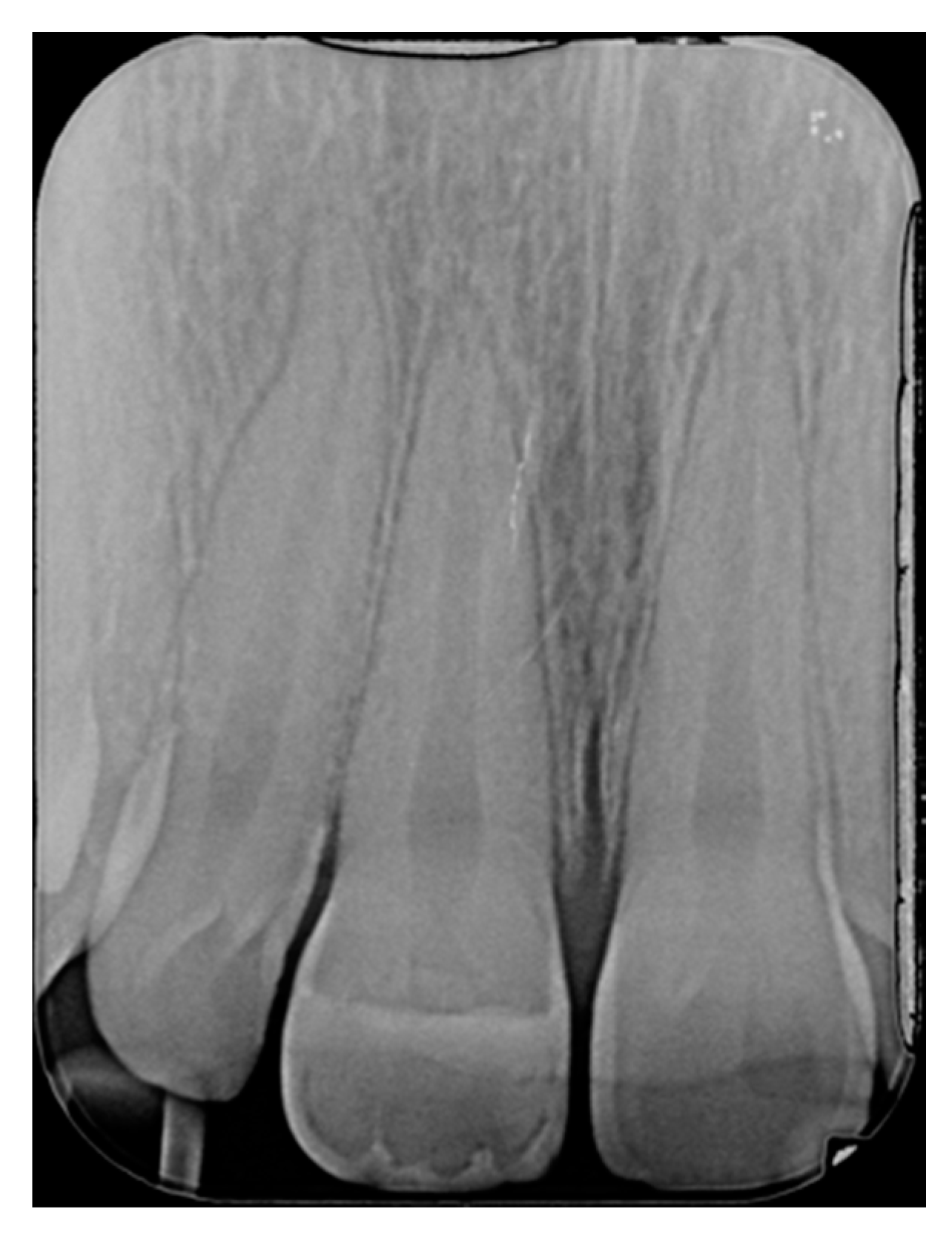 Dentistry 09 00079 g017