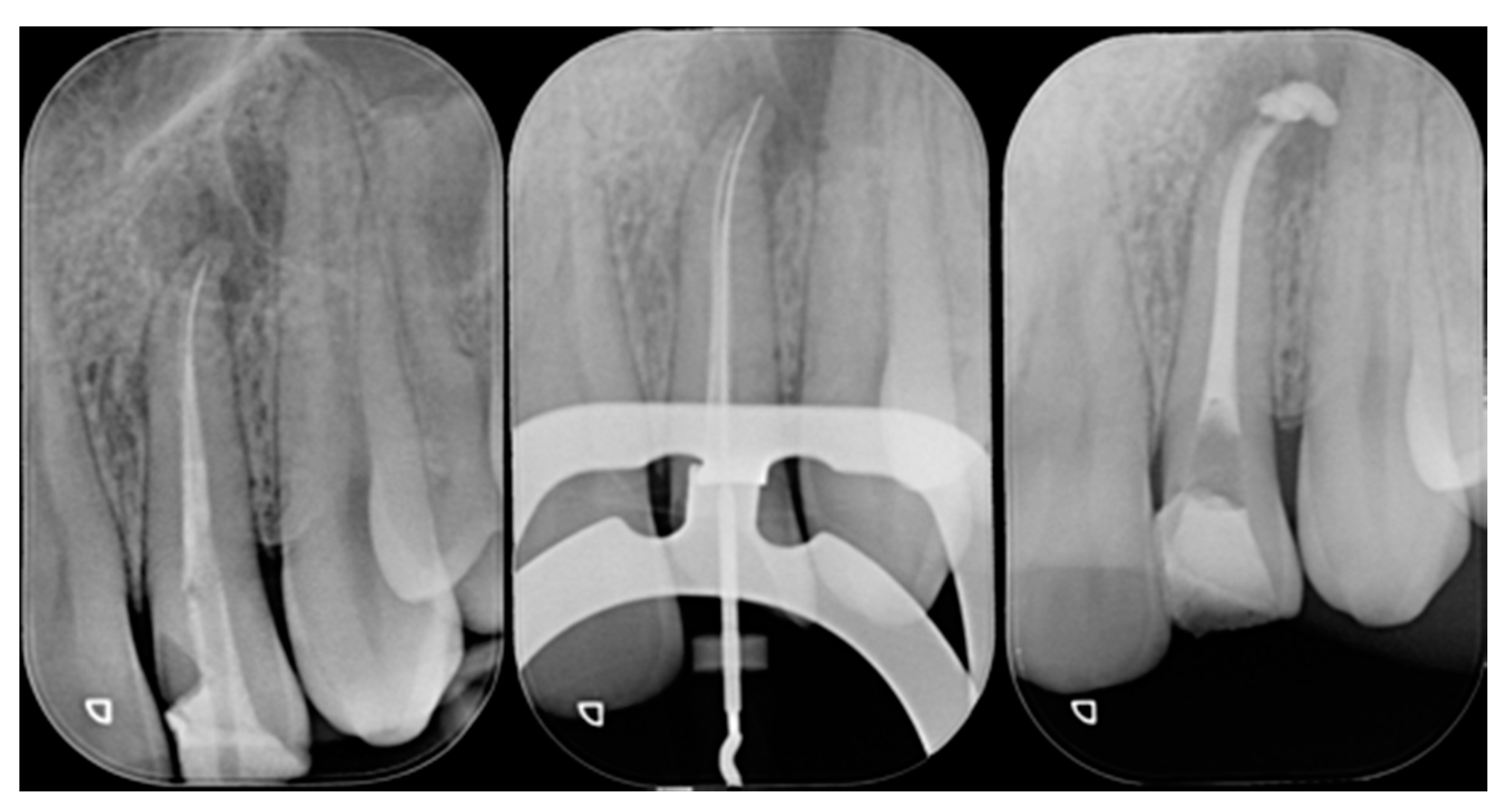 Dentistry 09 00079 g021