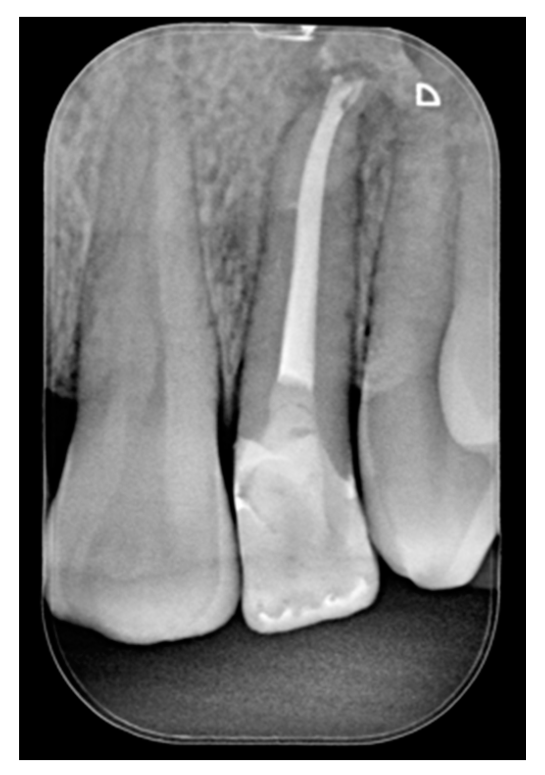 Dentistry 09 00079 g029