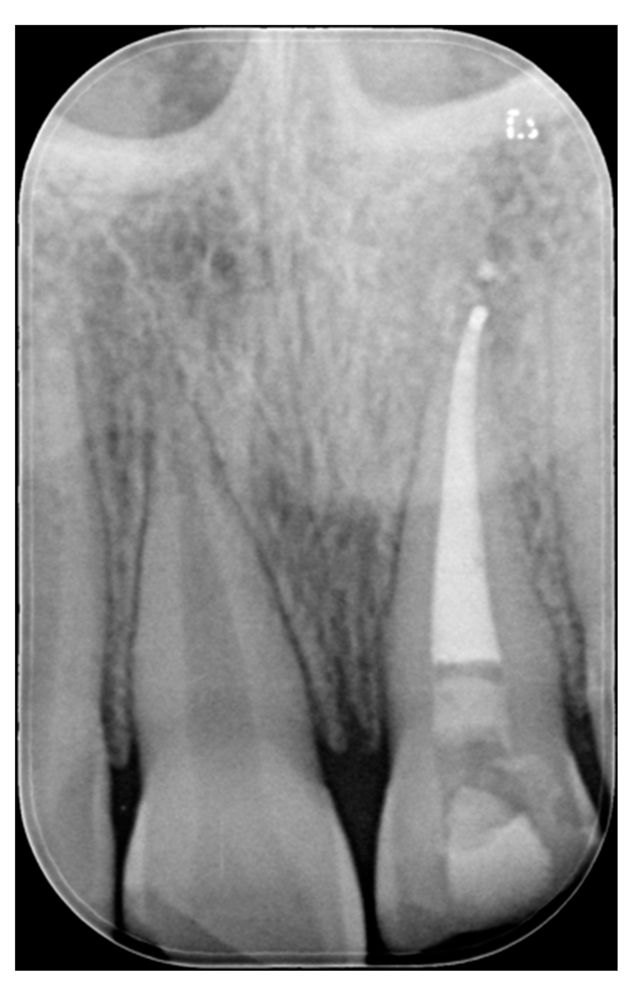 Dentistry 09 00079 g031