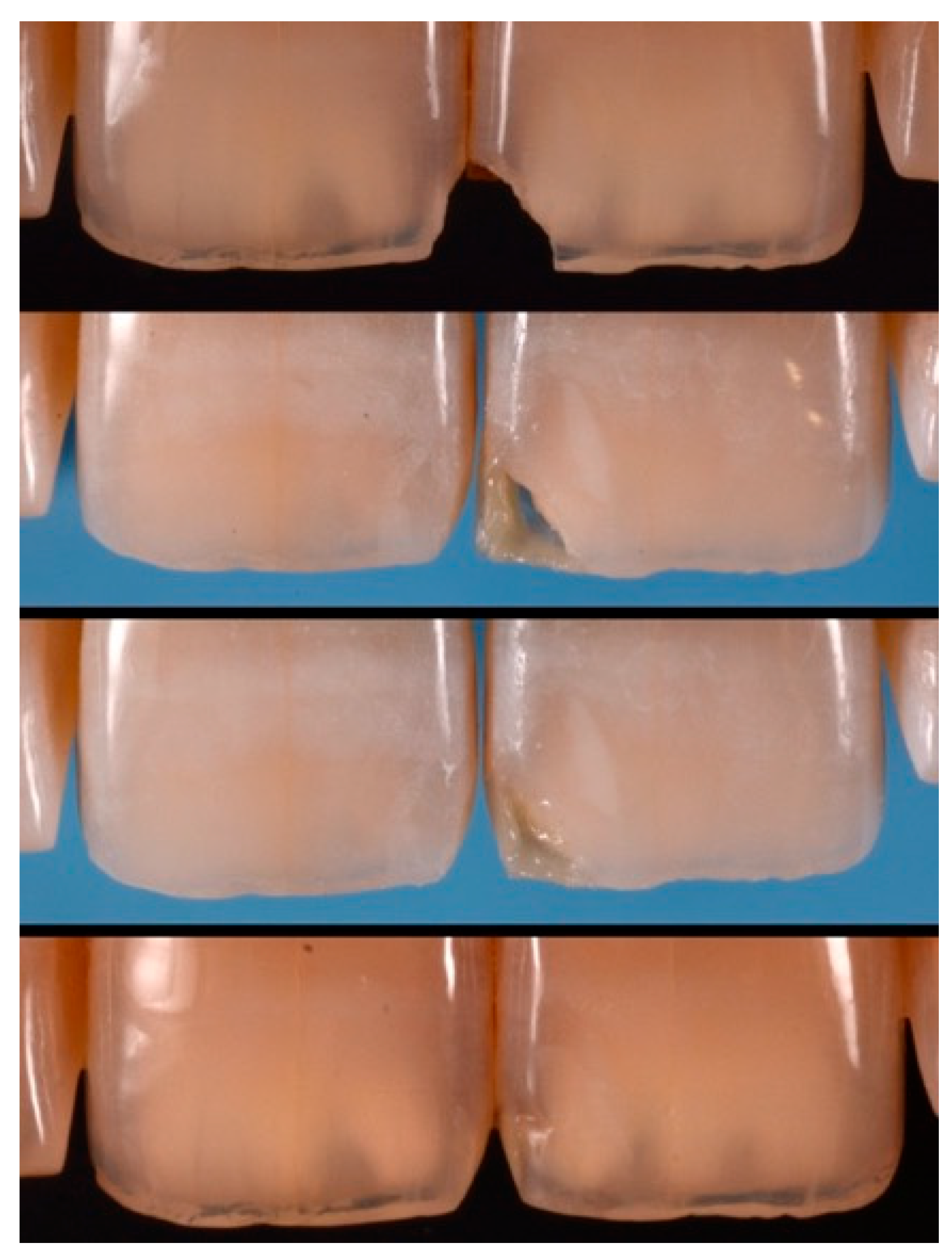 Dentistry 09 00079 g040