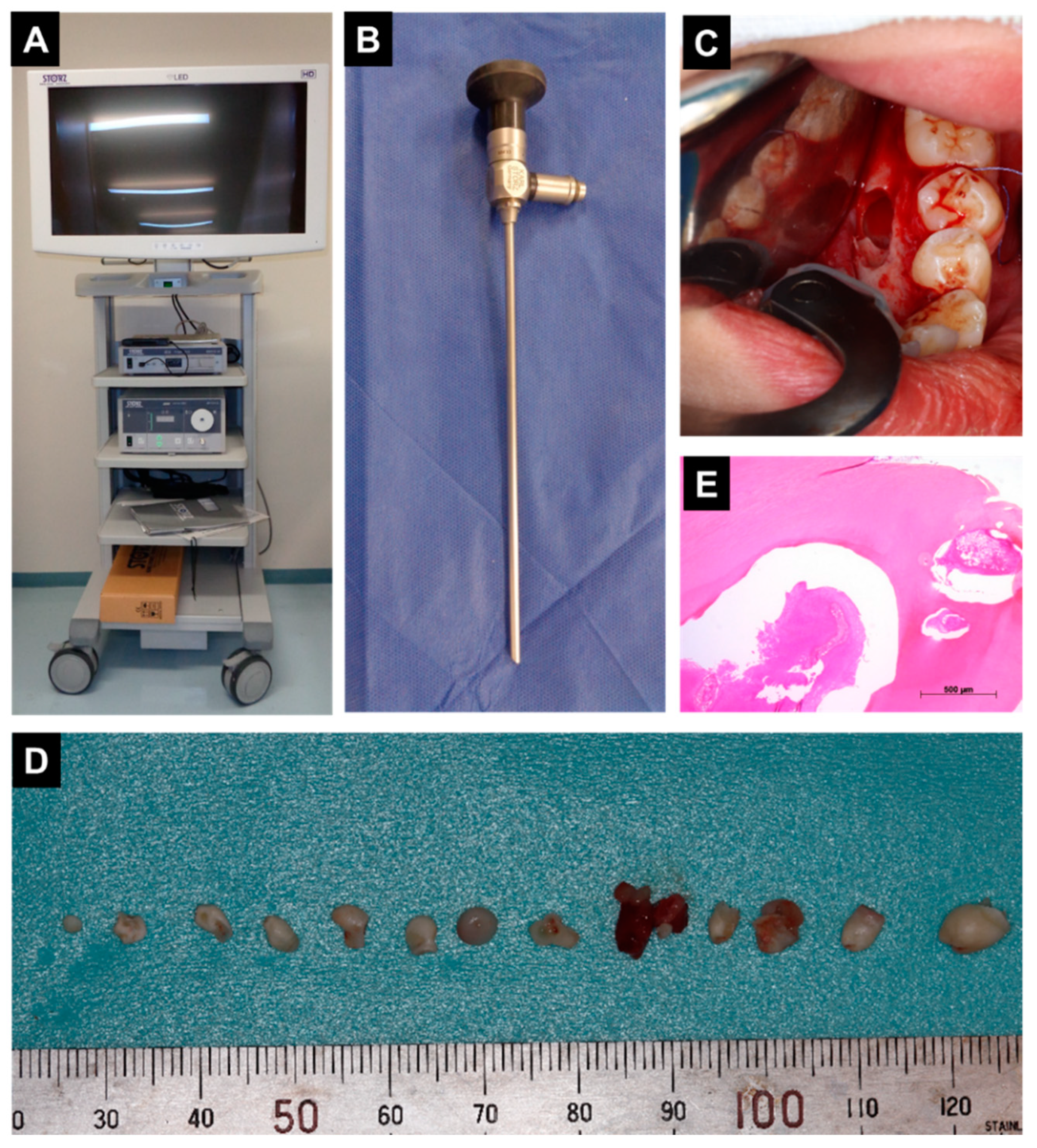 Dentistry 09 00081 g002