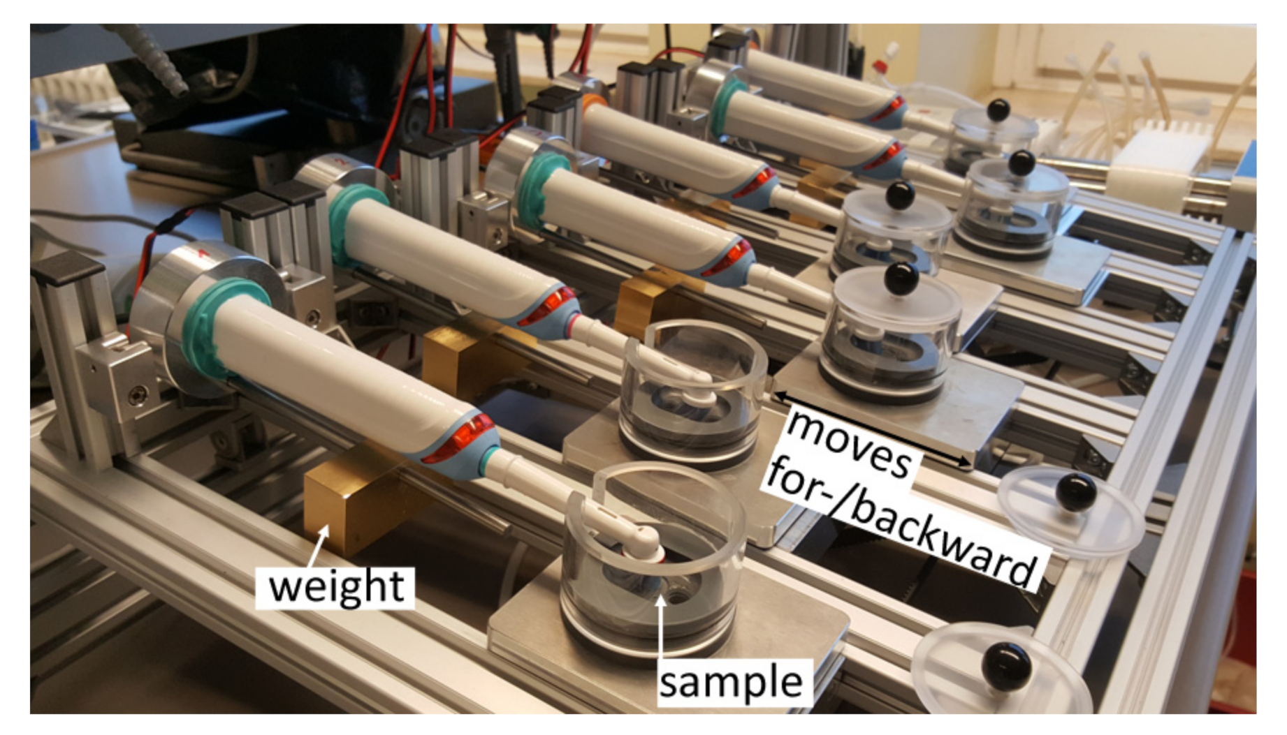 Dentistry 09 00097 g002