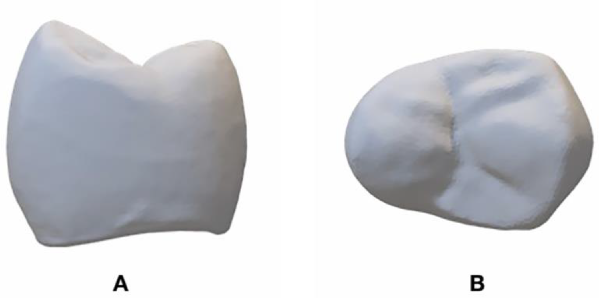 Dentistry 09 00115 g002