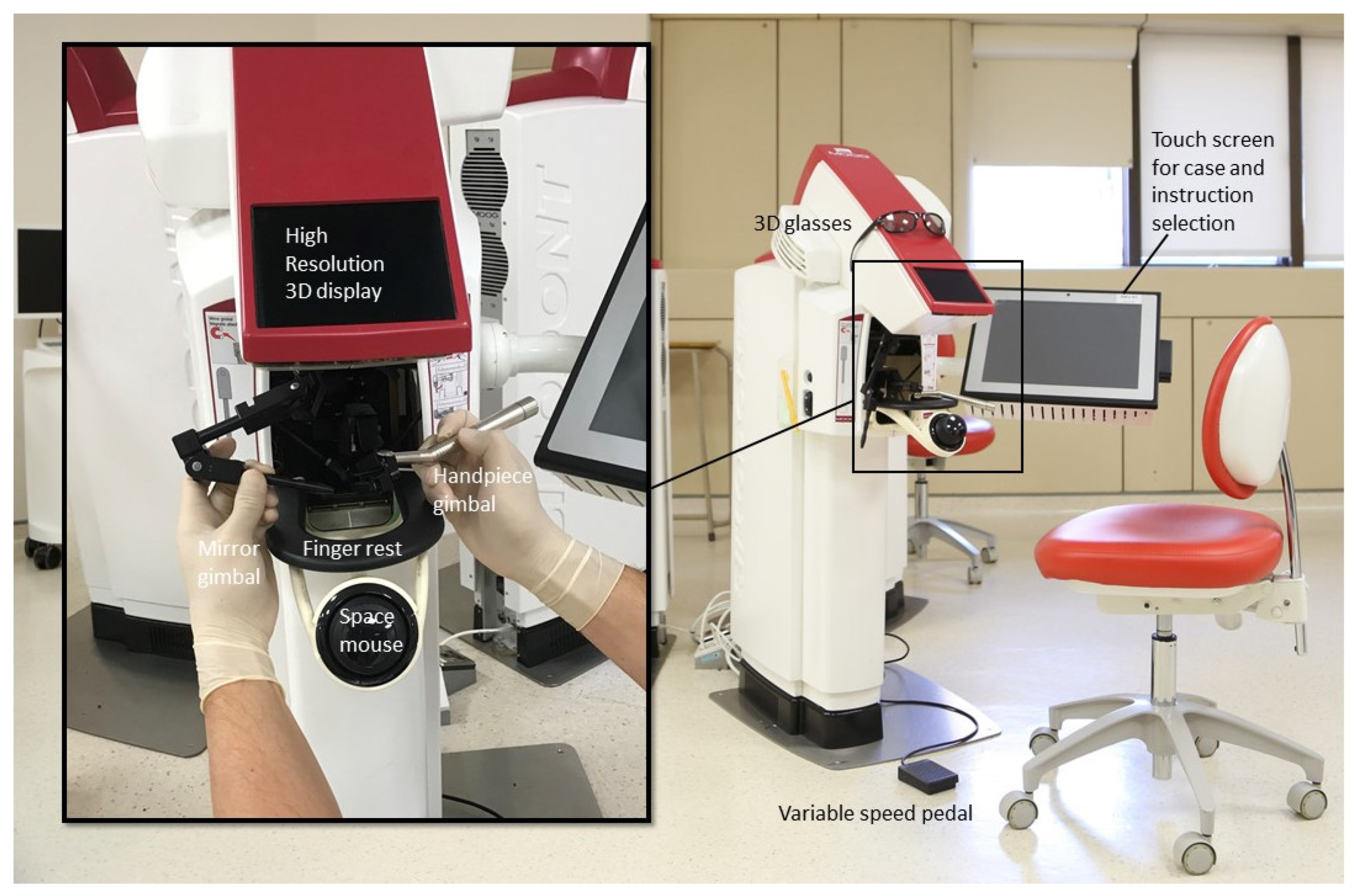 Dentistry 09 00125 g001