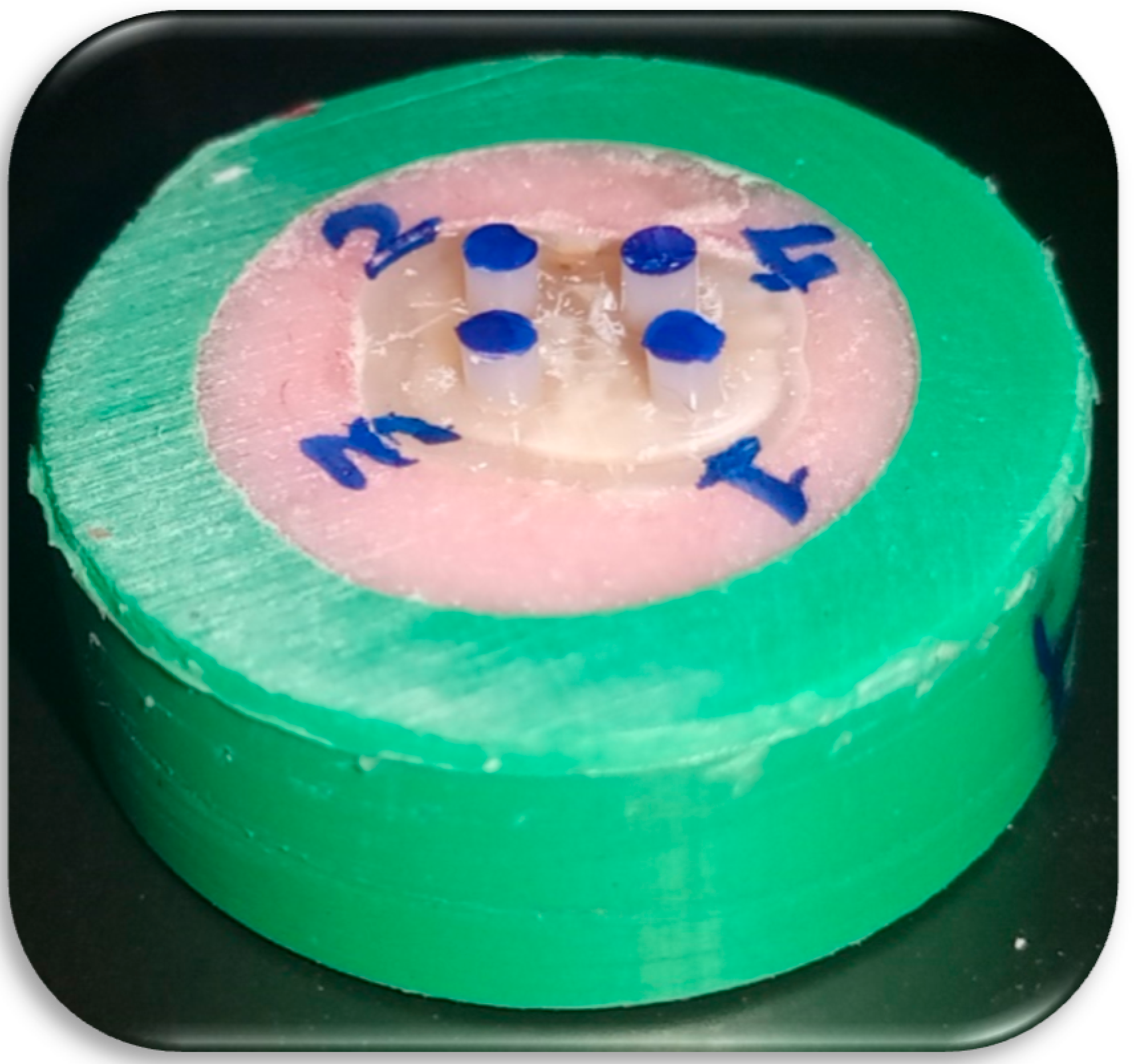 Dentistry 09 00140 g001 Dentistry 09 00140 g001